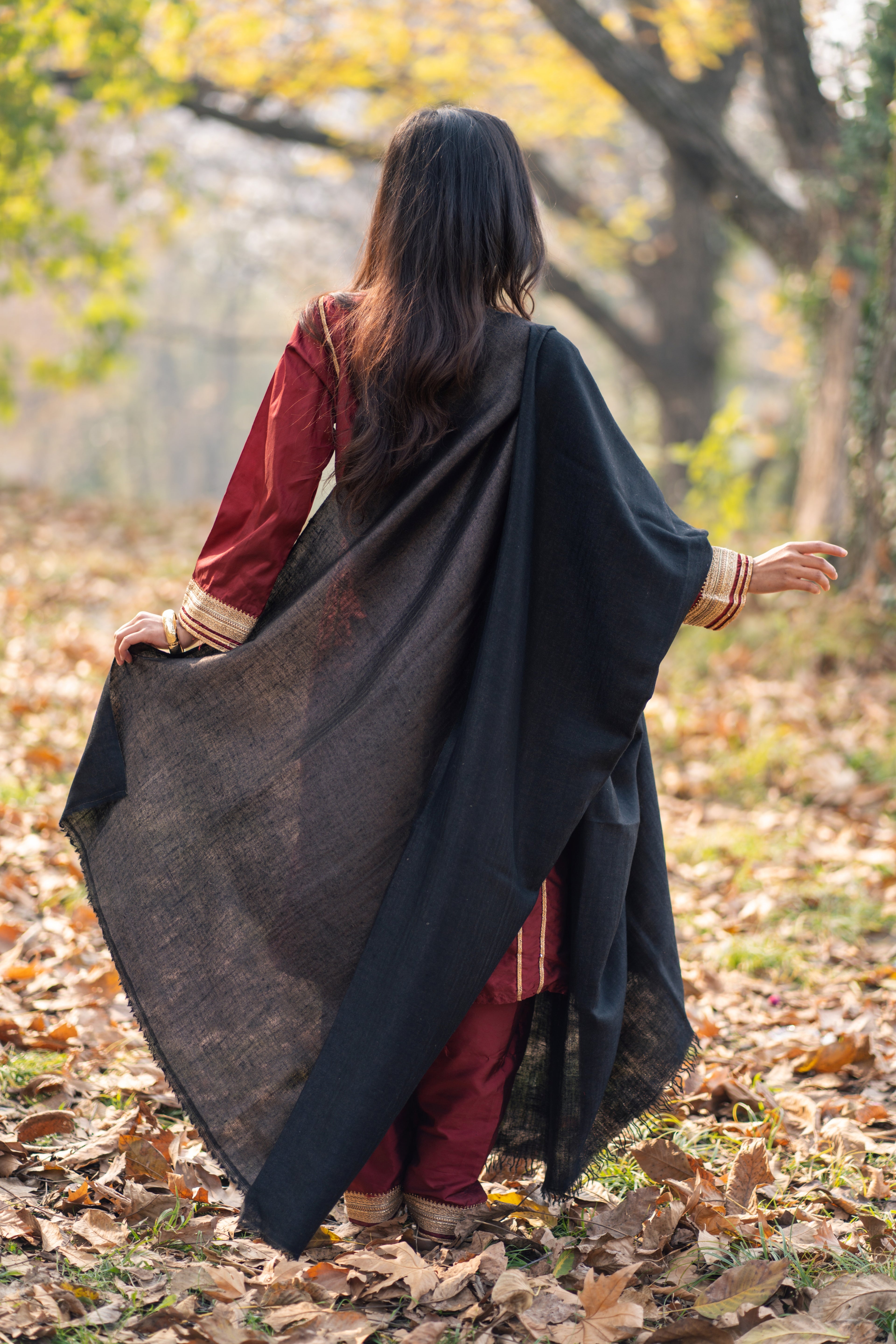 Black Reversible Pashmina Zari Shawl