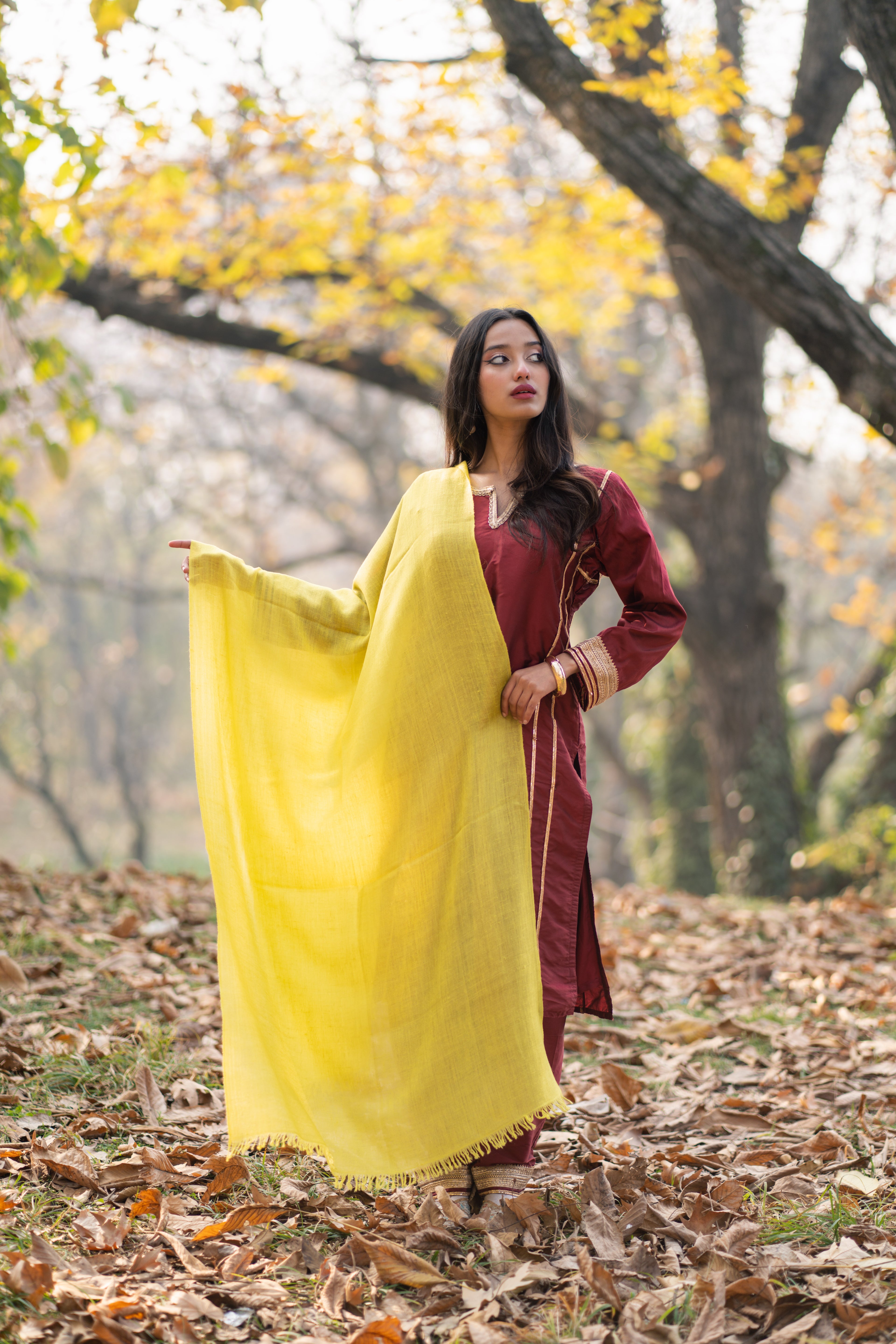 Lime Yellow Pashmina Wrap