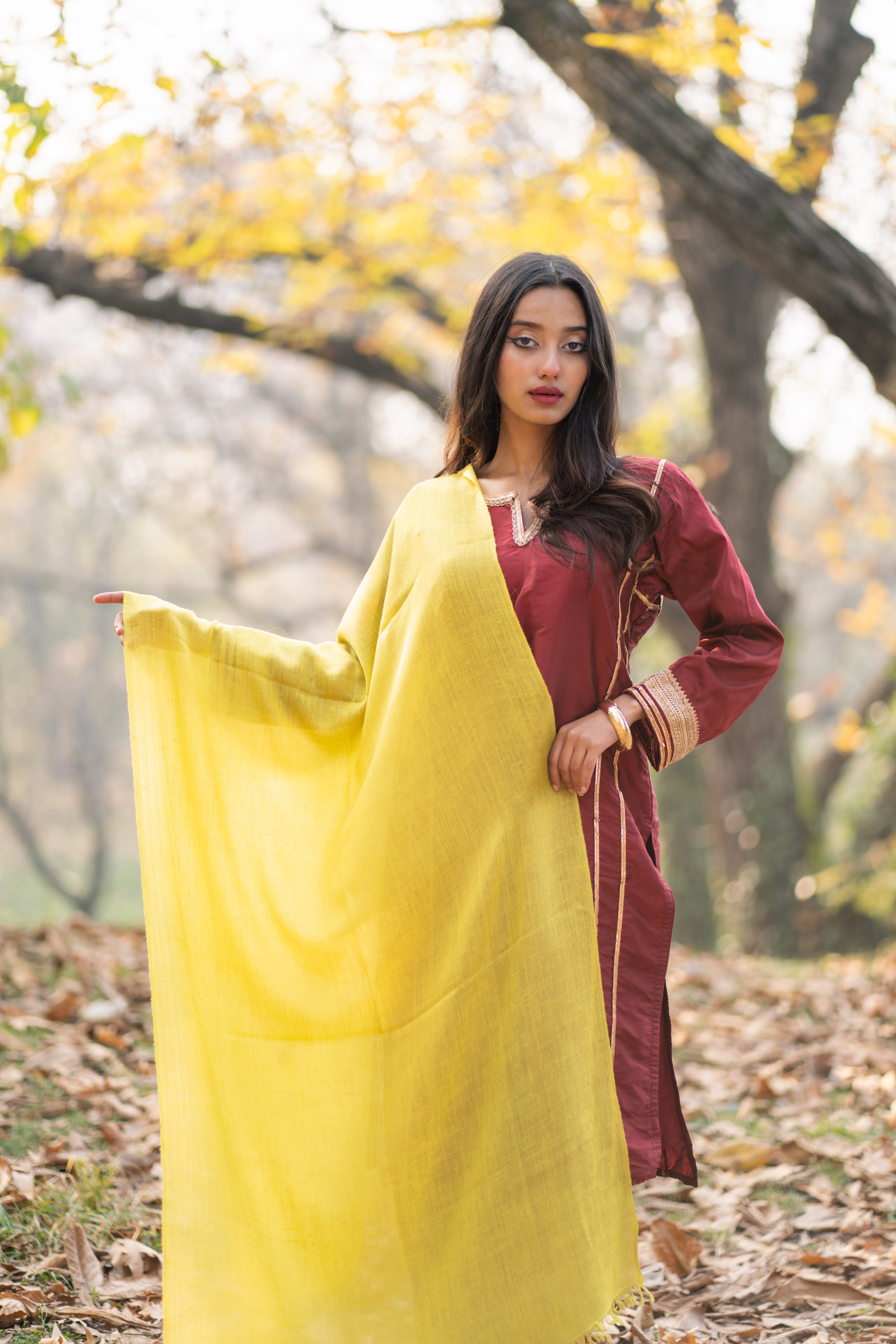 Lime Yellow Pashmina Wrap