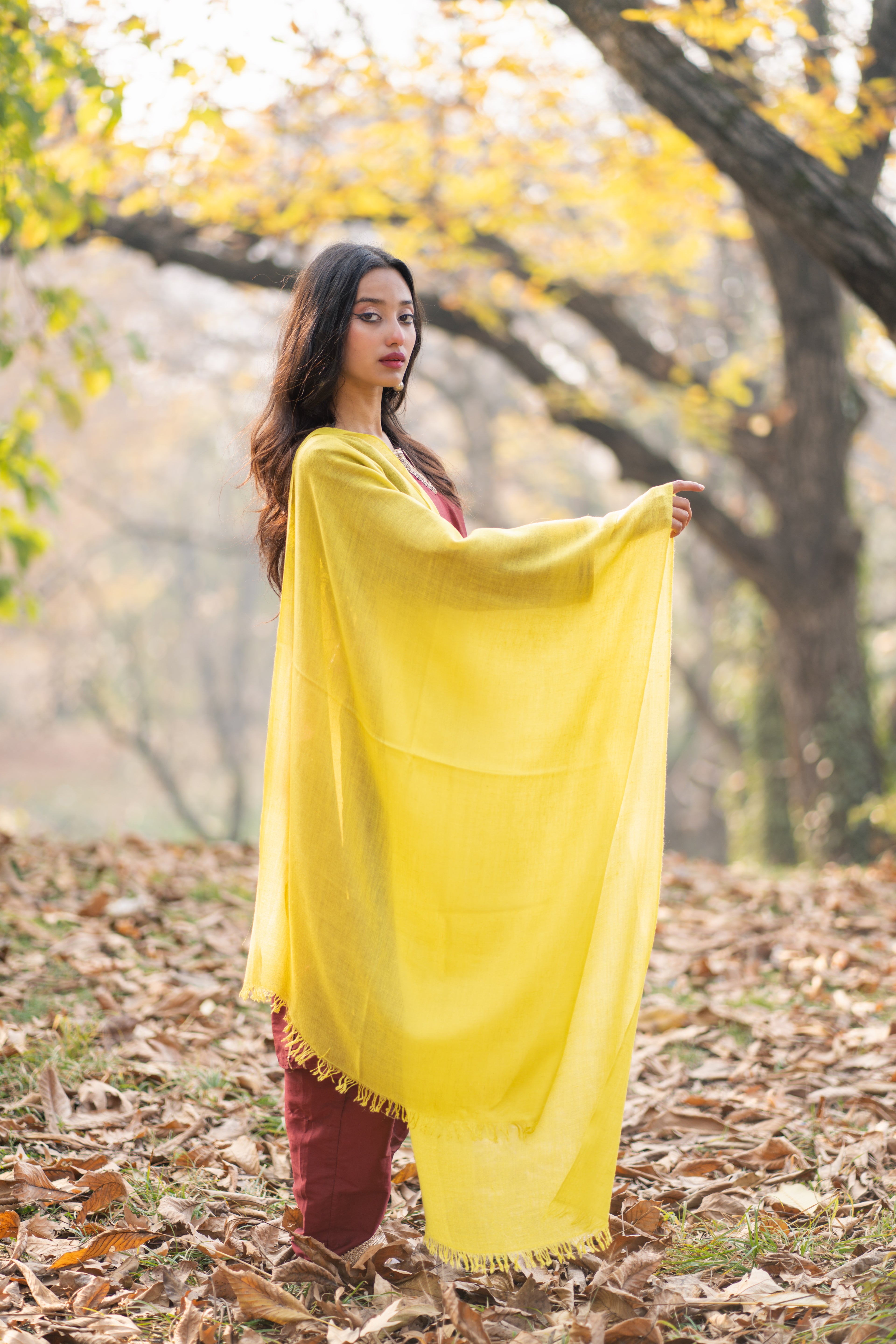 Lime Yellow Pashmina Wrap