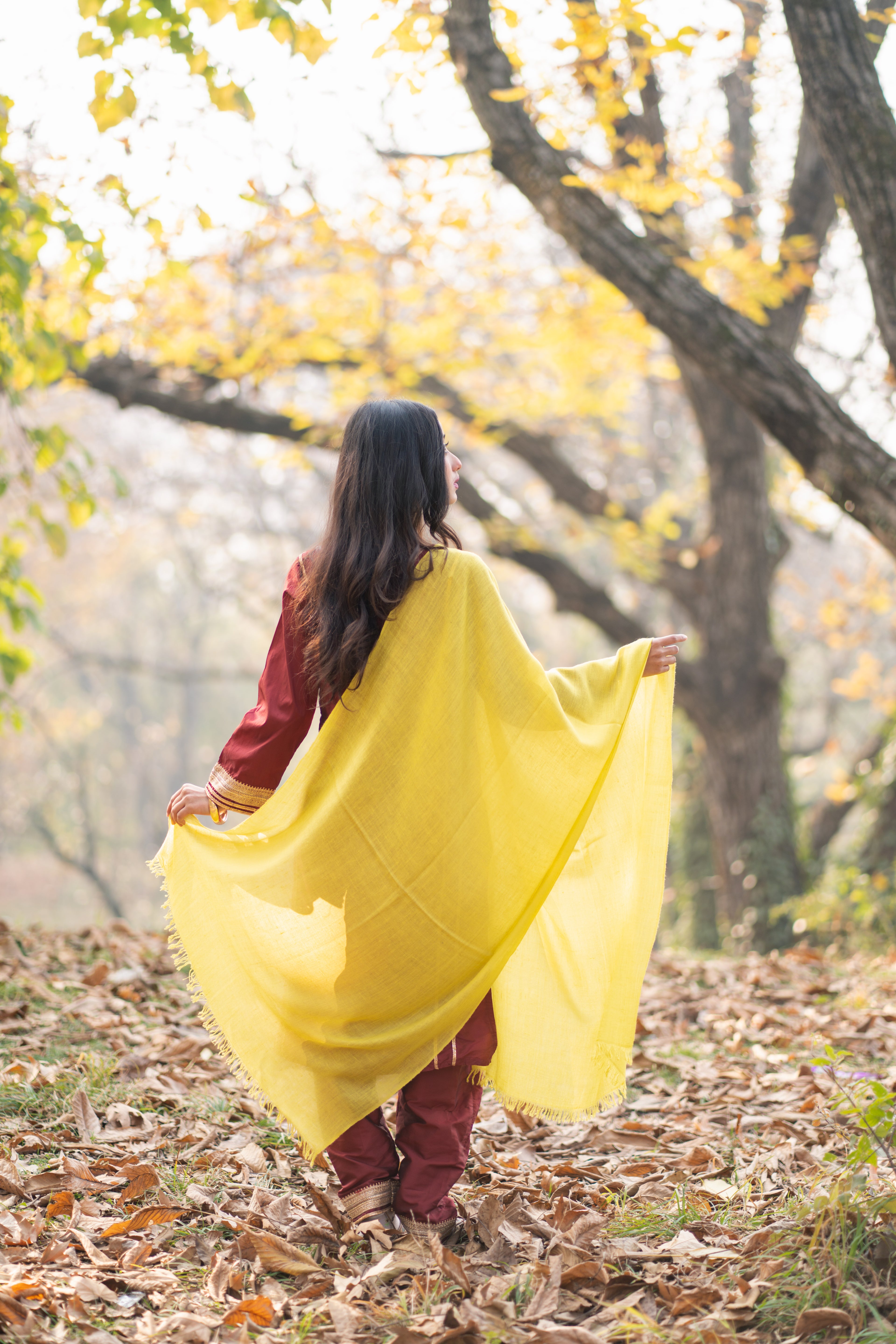 Lime Yellow Pashmina Wrap
