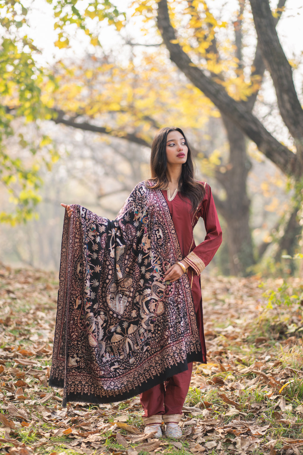 Noor E Siyaah Kalamkari Pashmina Shawl