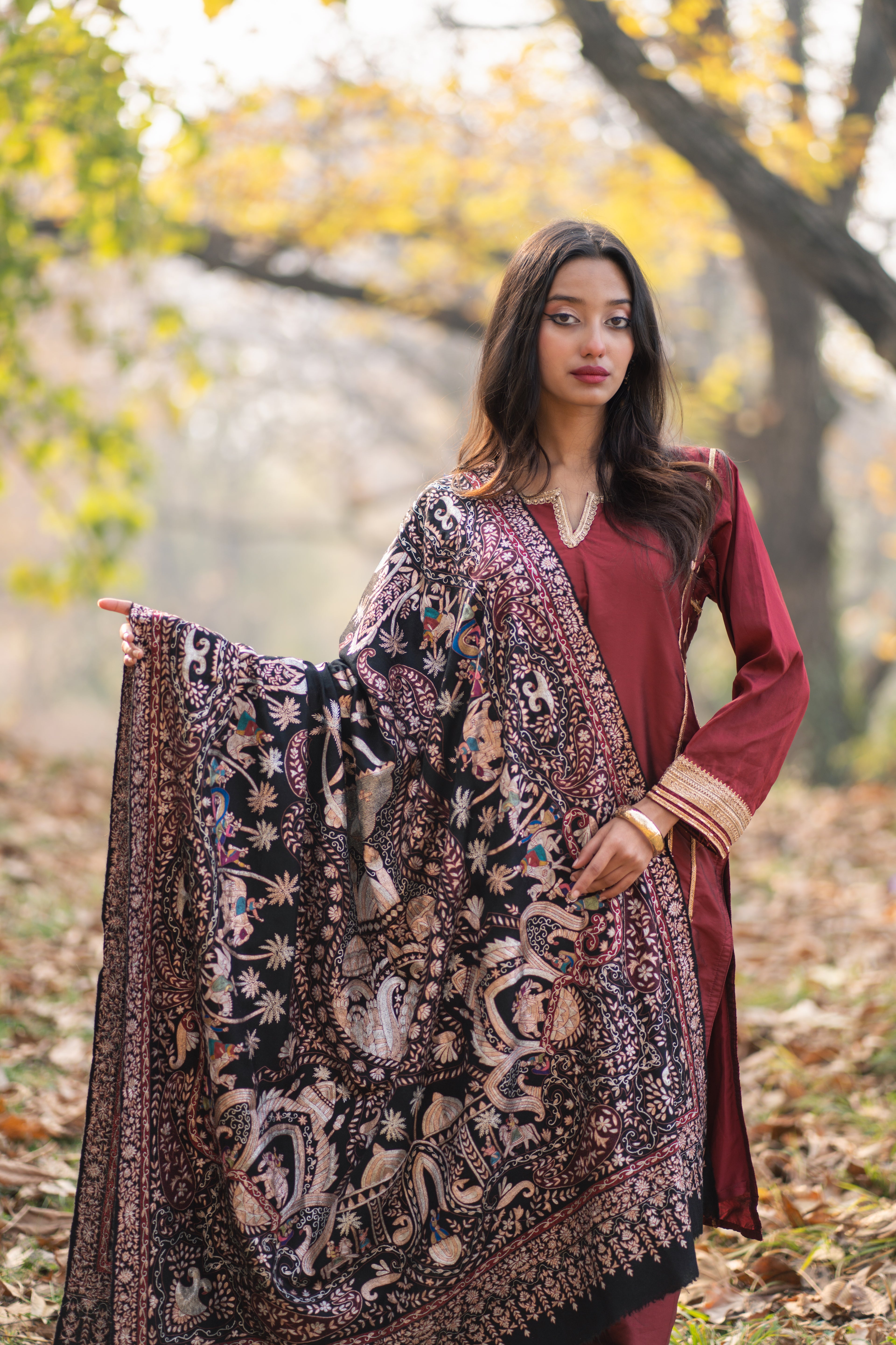 Noor E Siyaah Kalamkari Pashmina Shawl