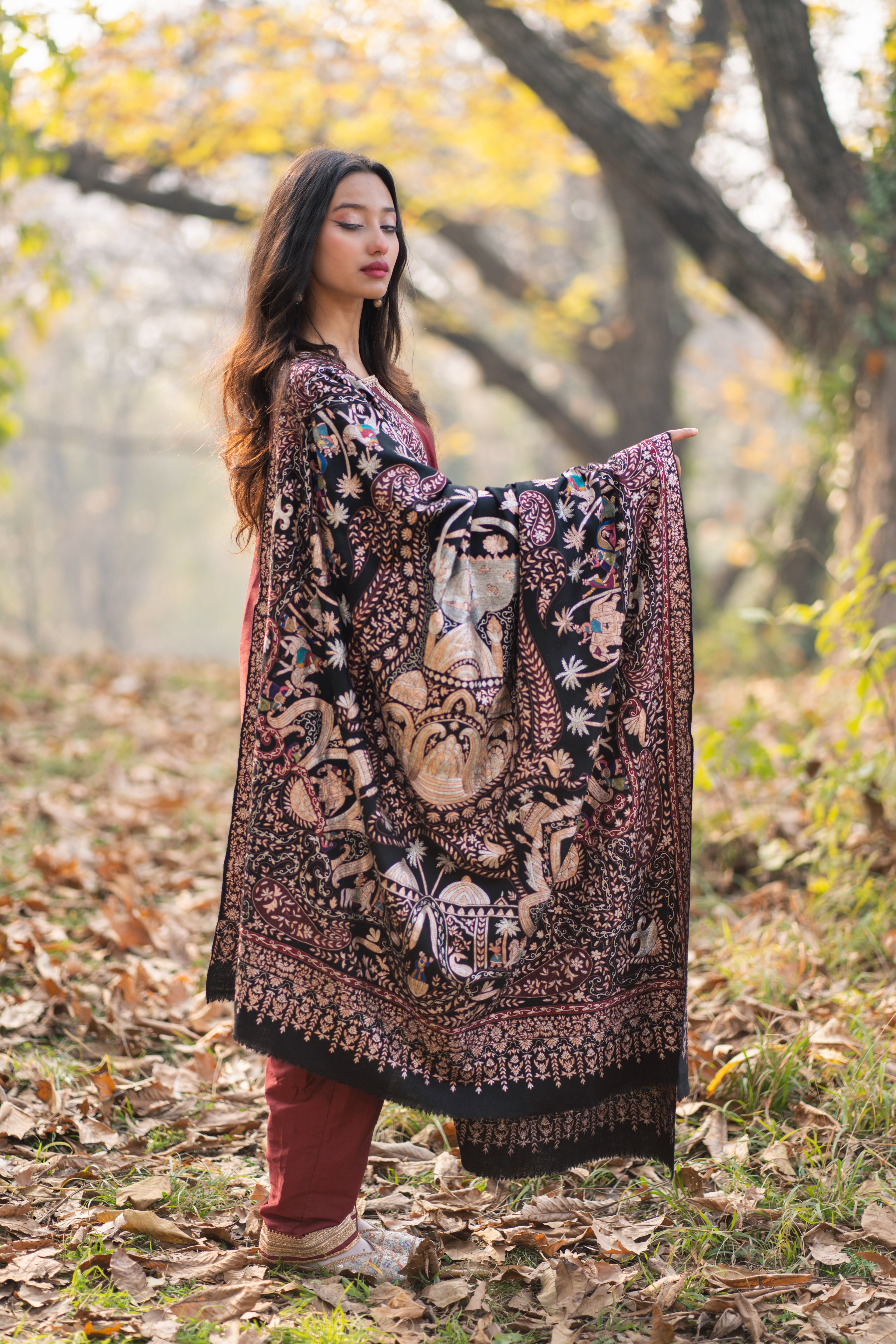 Noor E Siyaah Kalamkari Pashmina Shawl