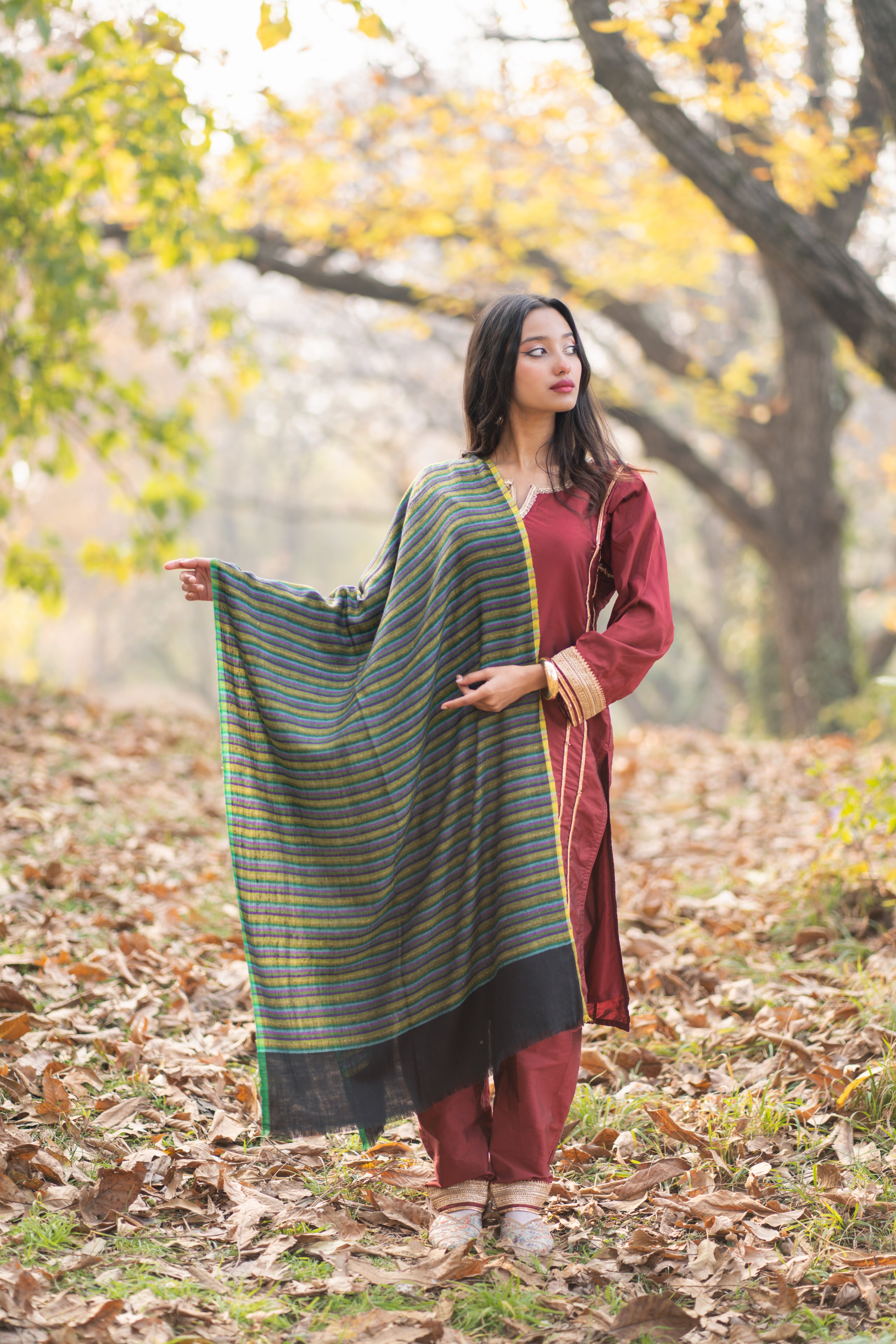 Black and Green Striped Pashmina Wrap