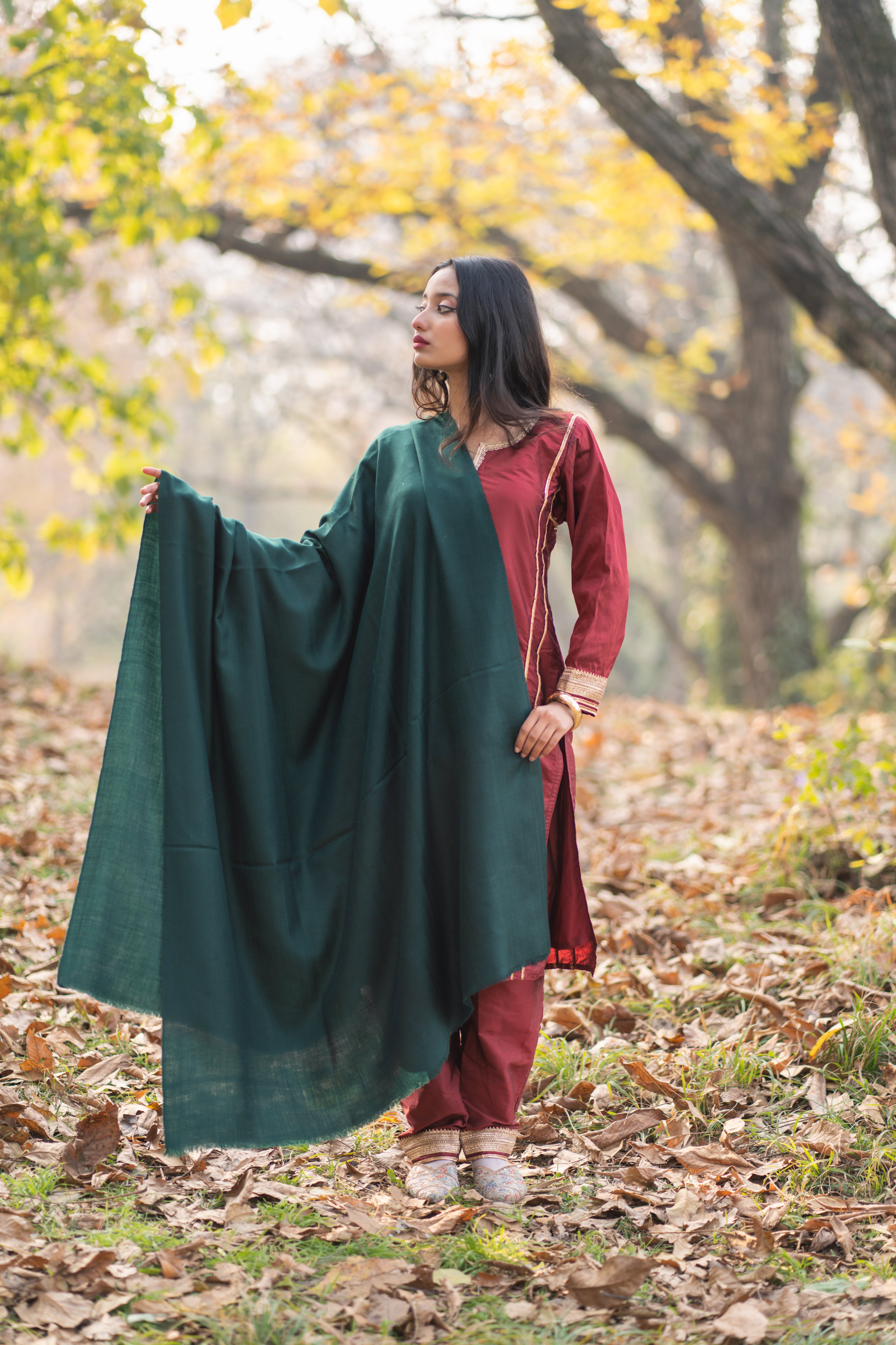 Green Pashmina Shawl