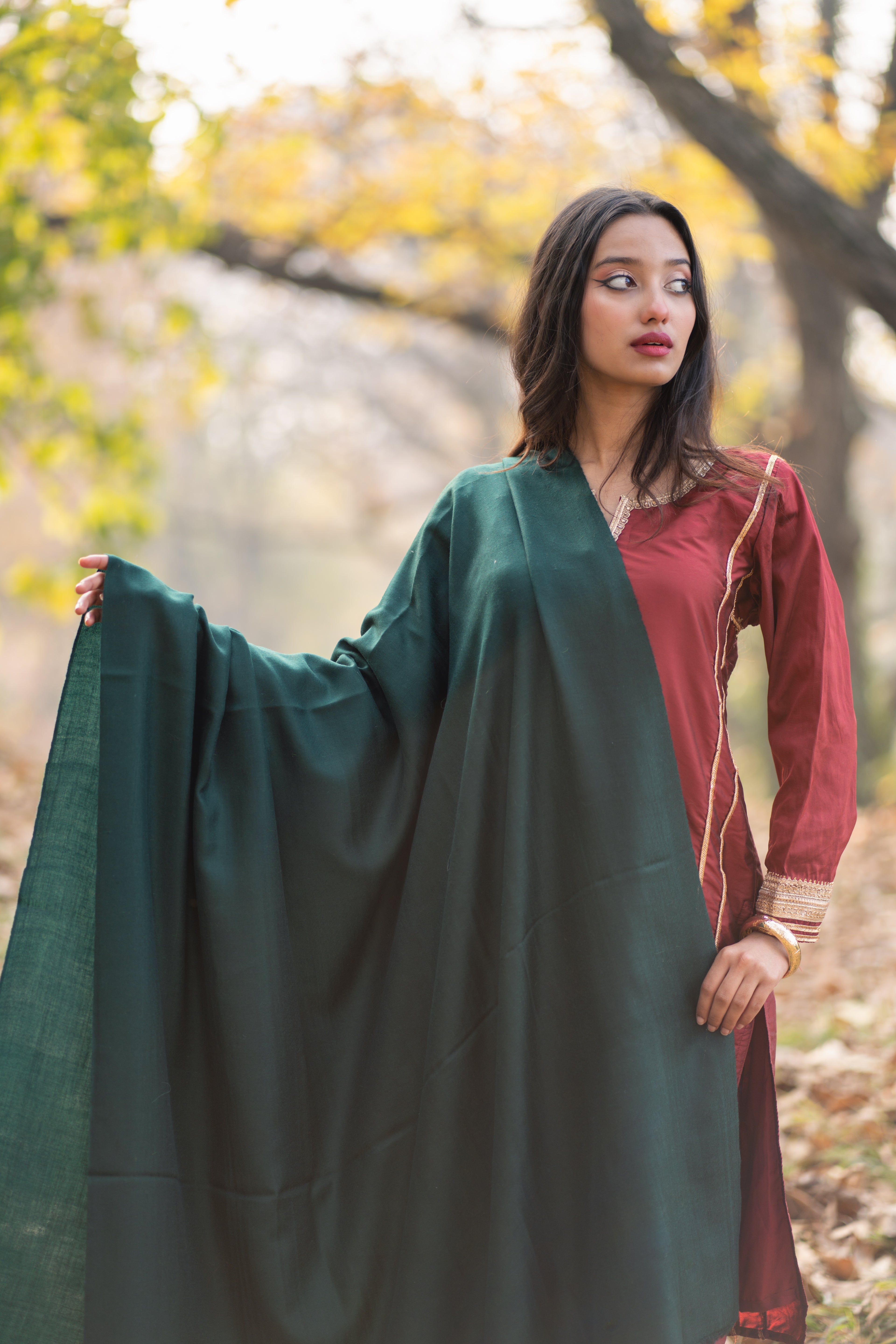 Green Pashmina Shawl