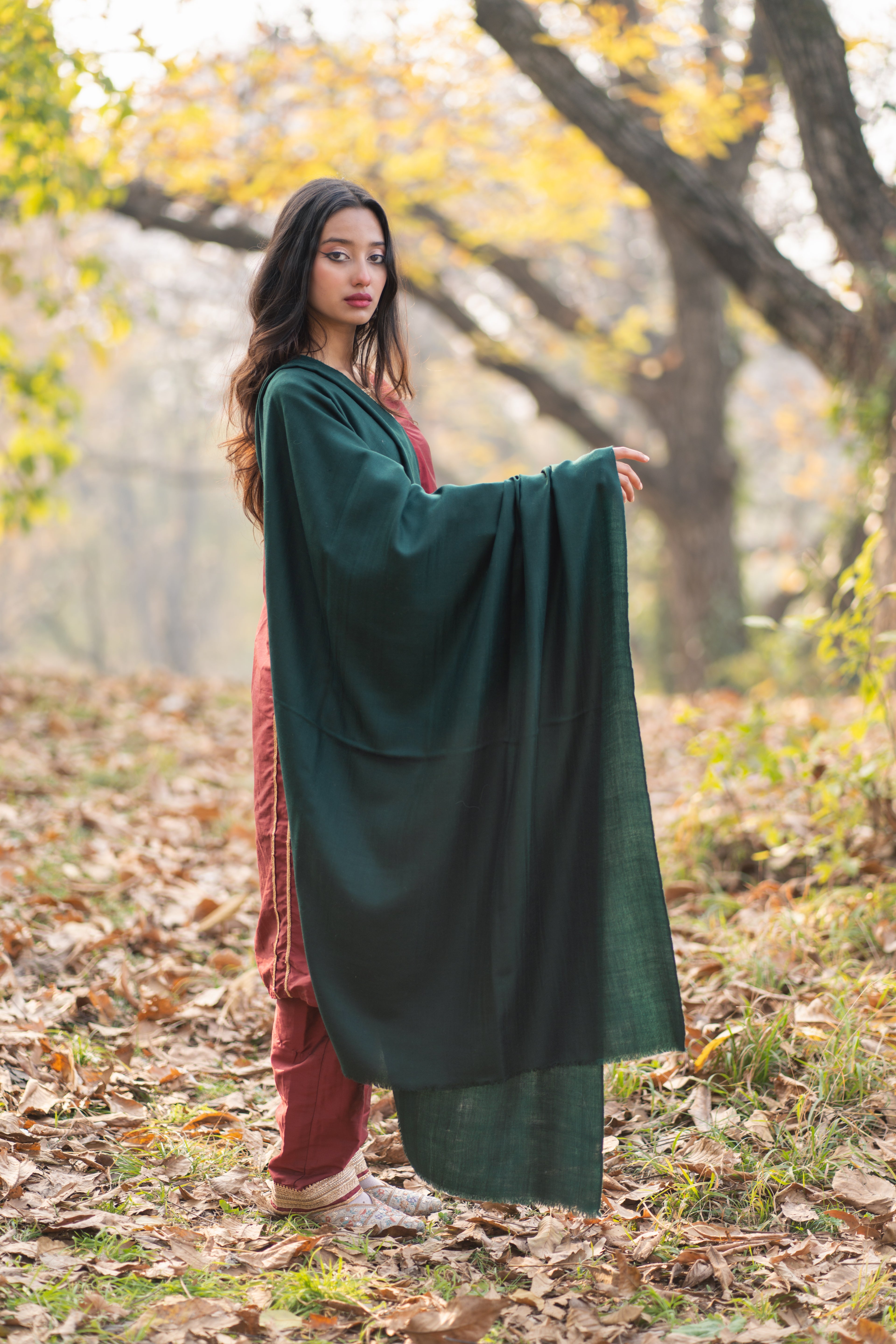 Green Pashmina Shawl