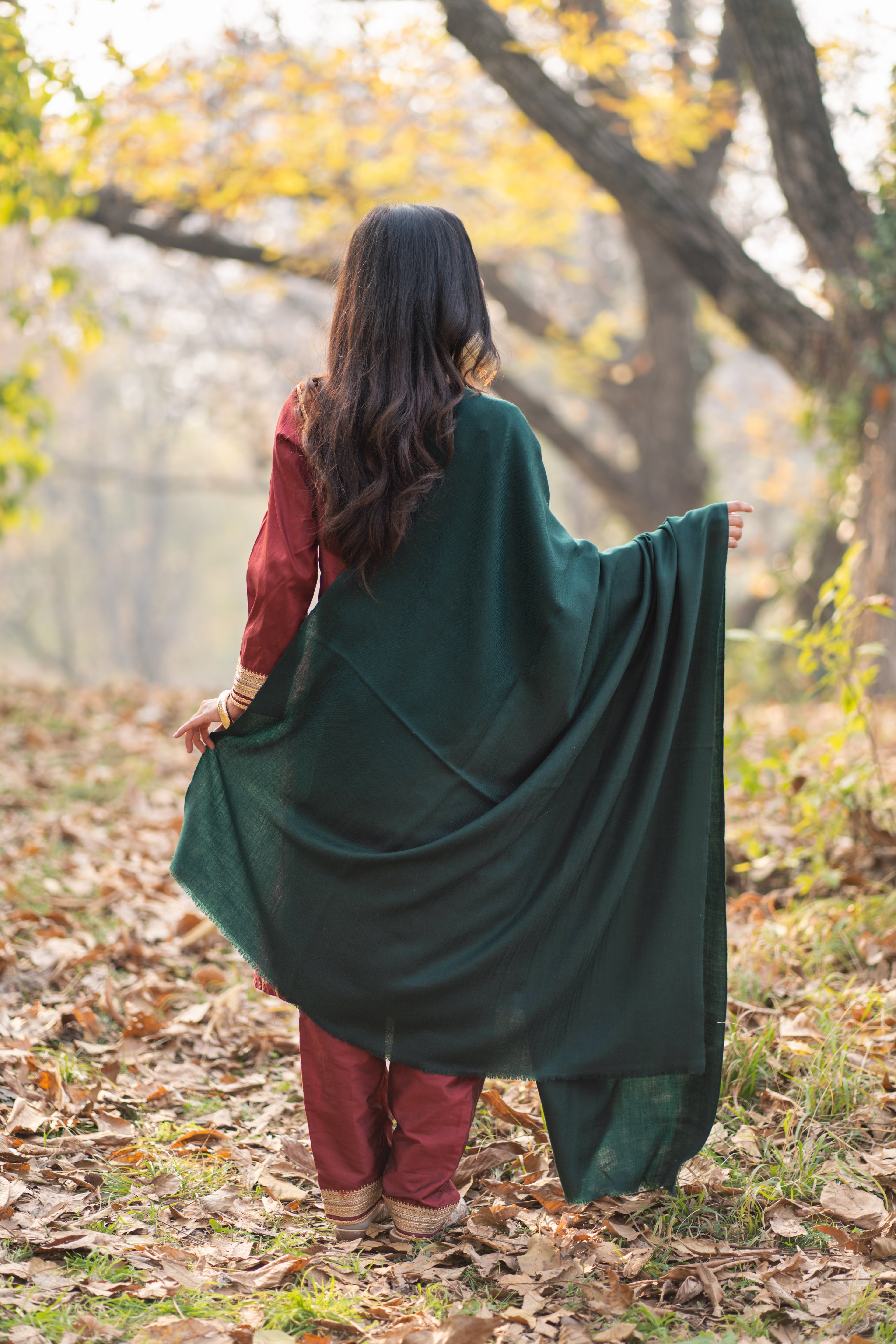 Green Pashmina Shawl