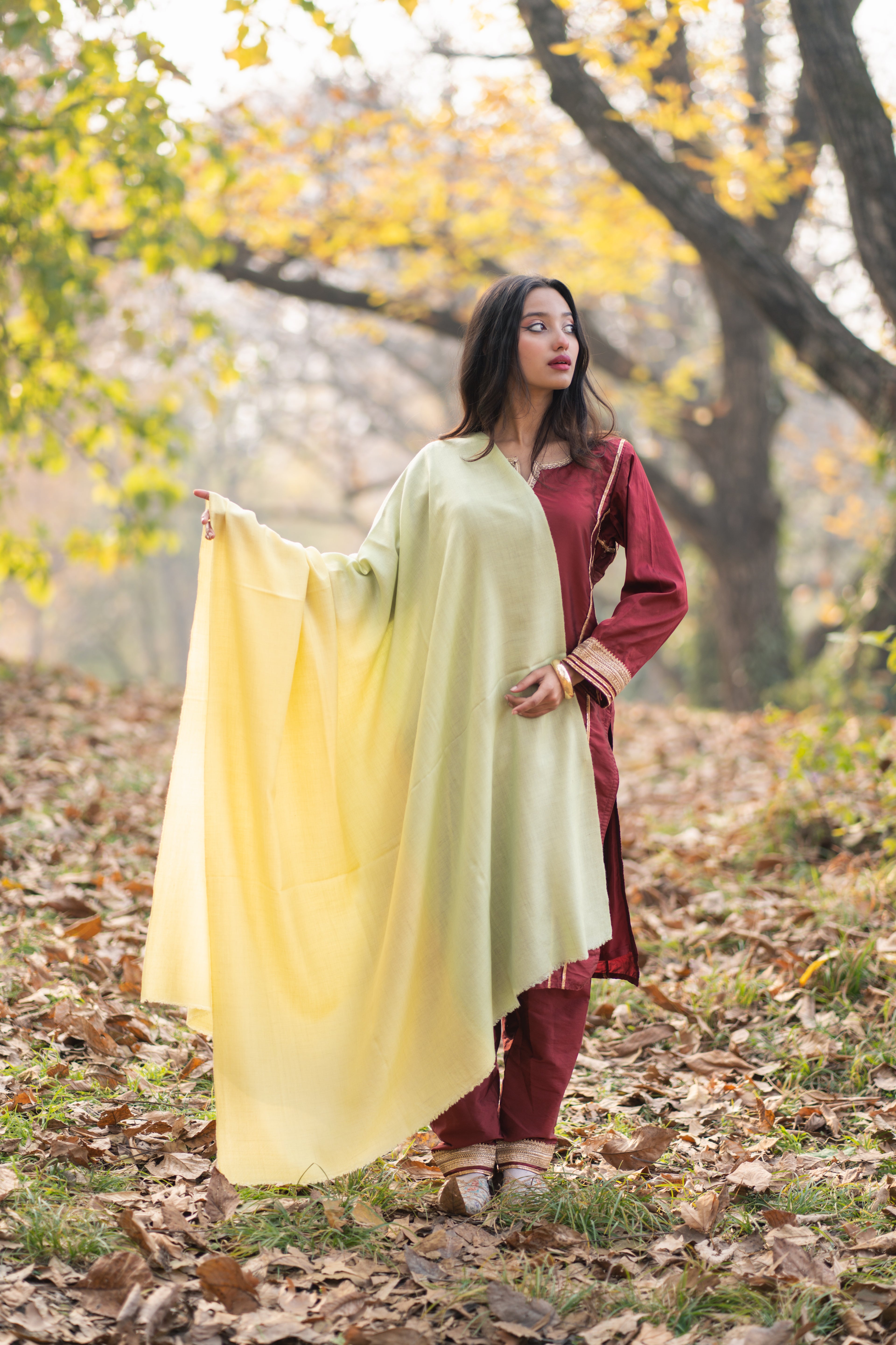 Yellow and Green Ombre Pashmina Shawl