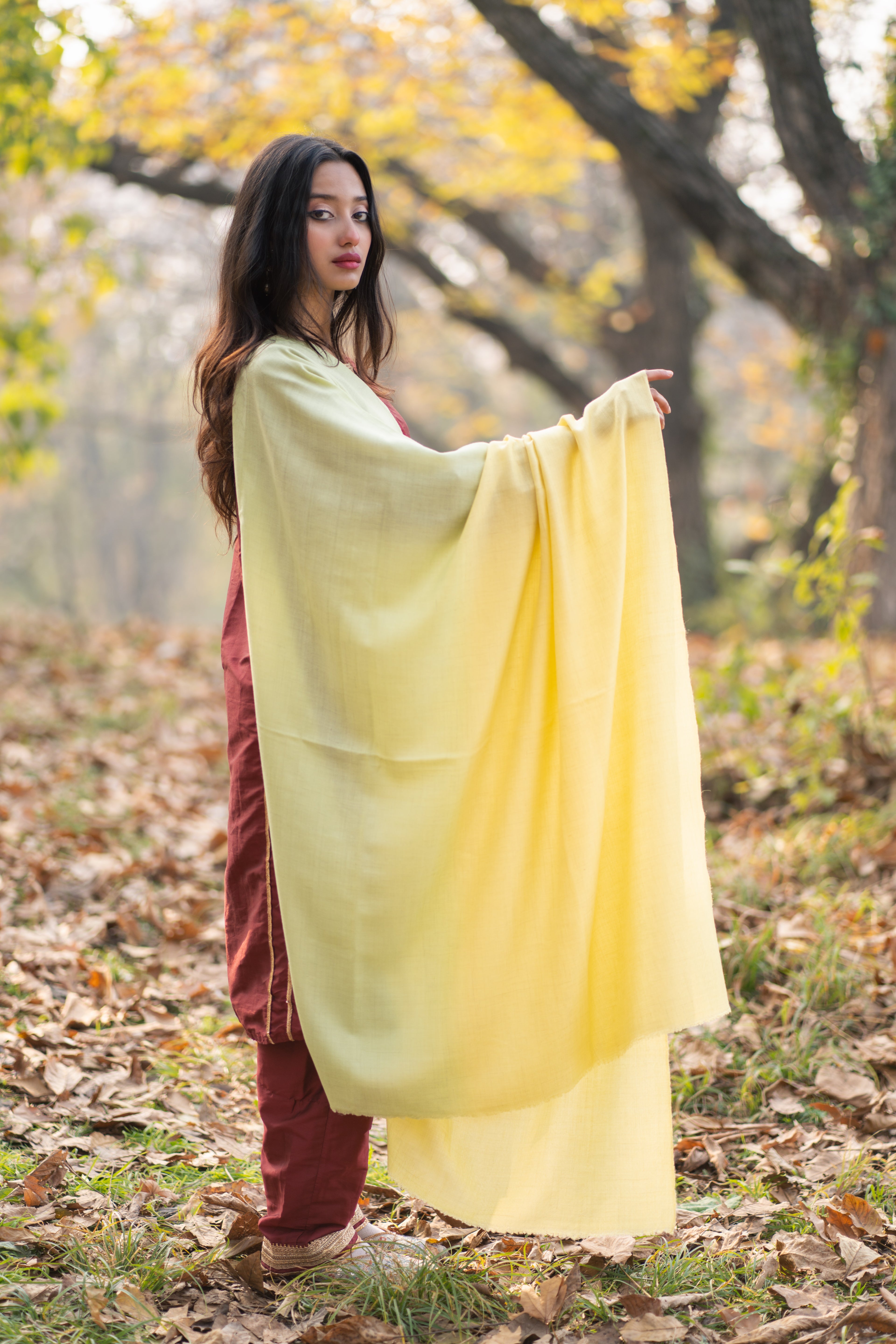 Yellow and Green Ombre Pashmina Shawl
