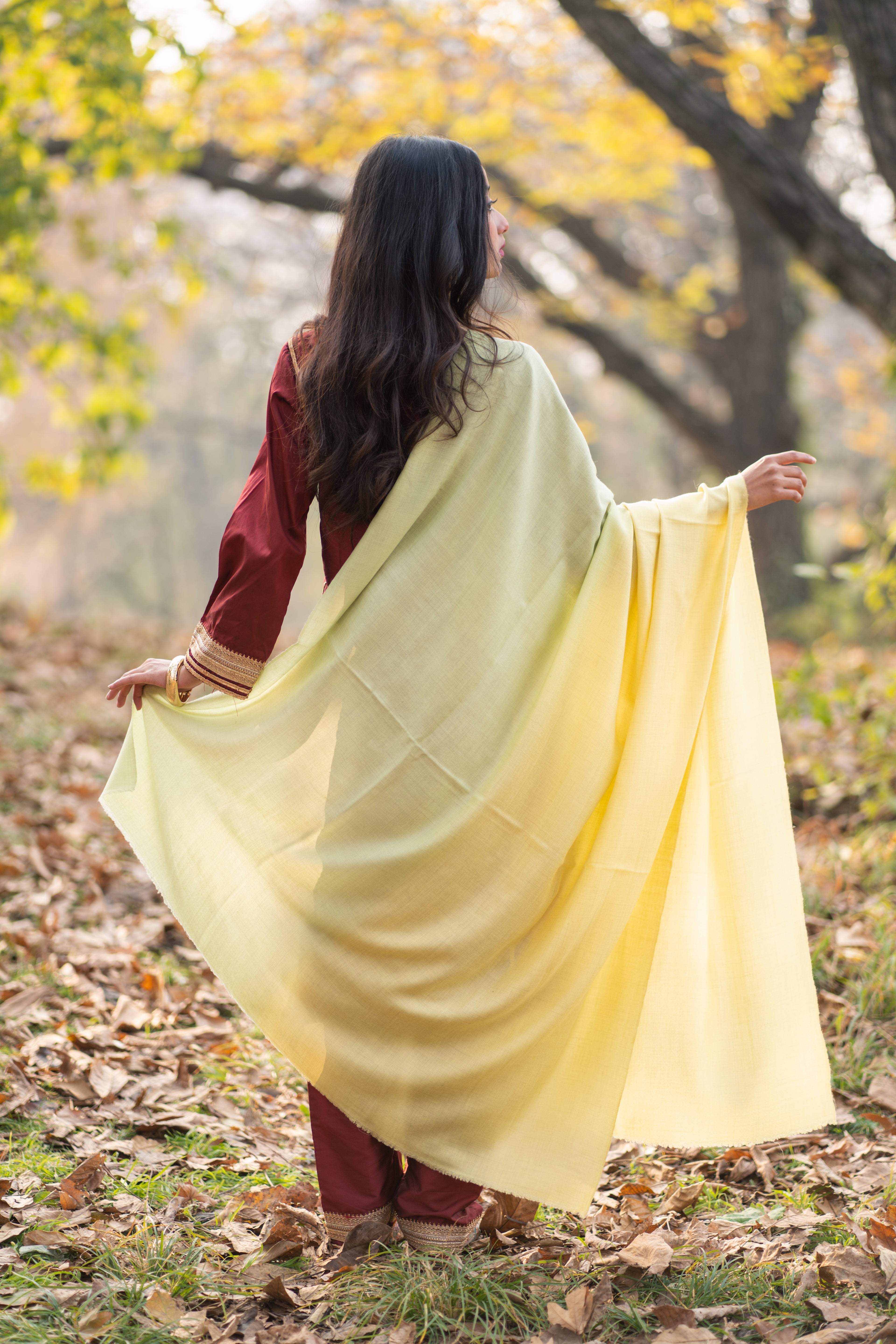 Yellow and Green Ombre Pashmina Shawl