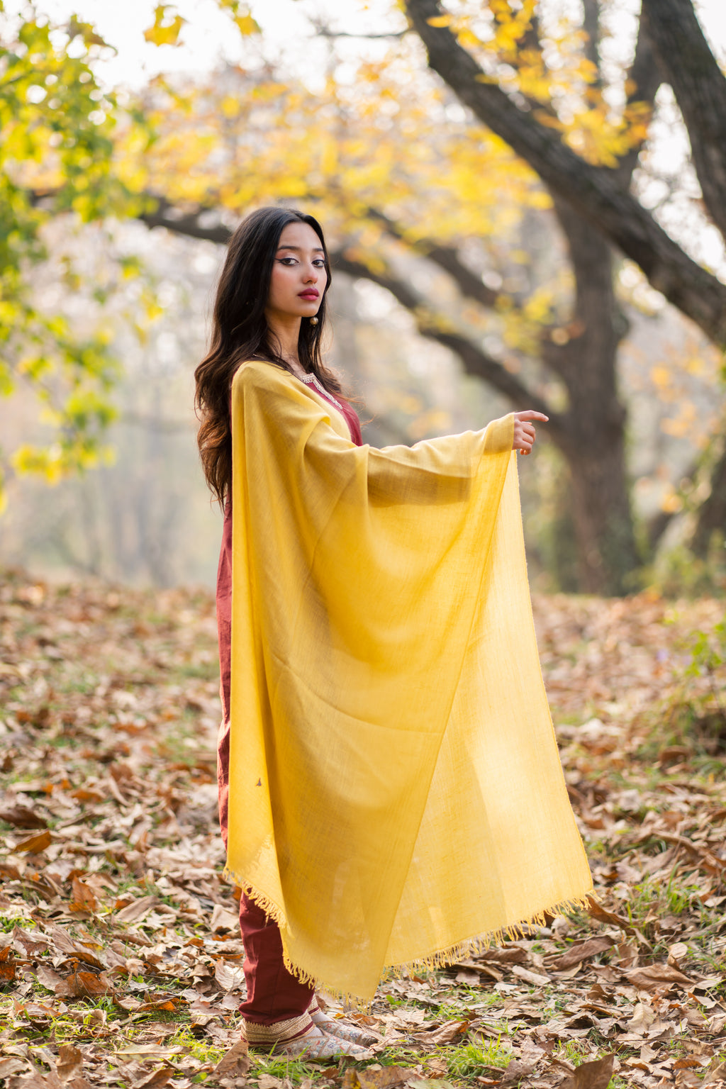 Mustard Pashmina Stole