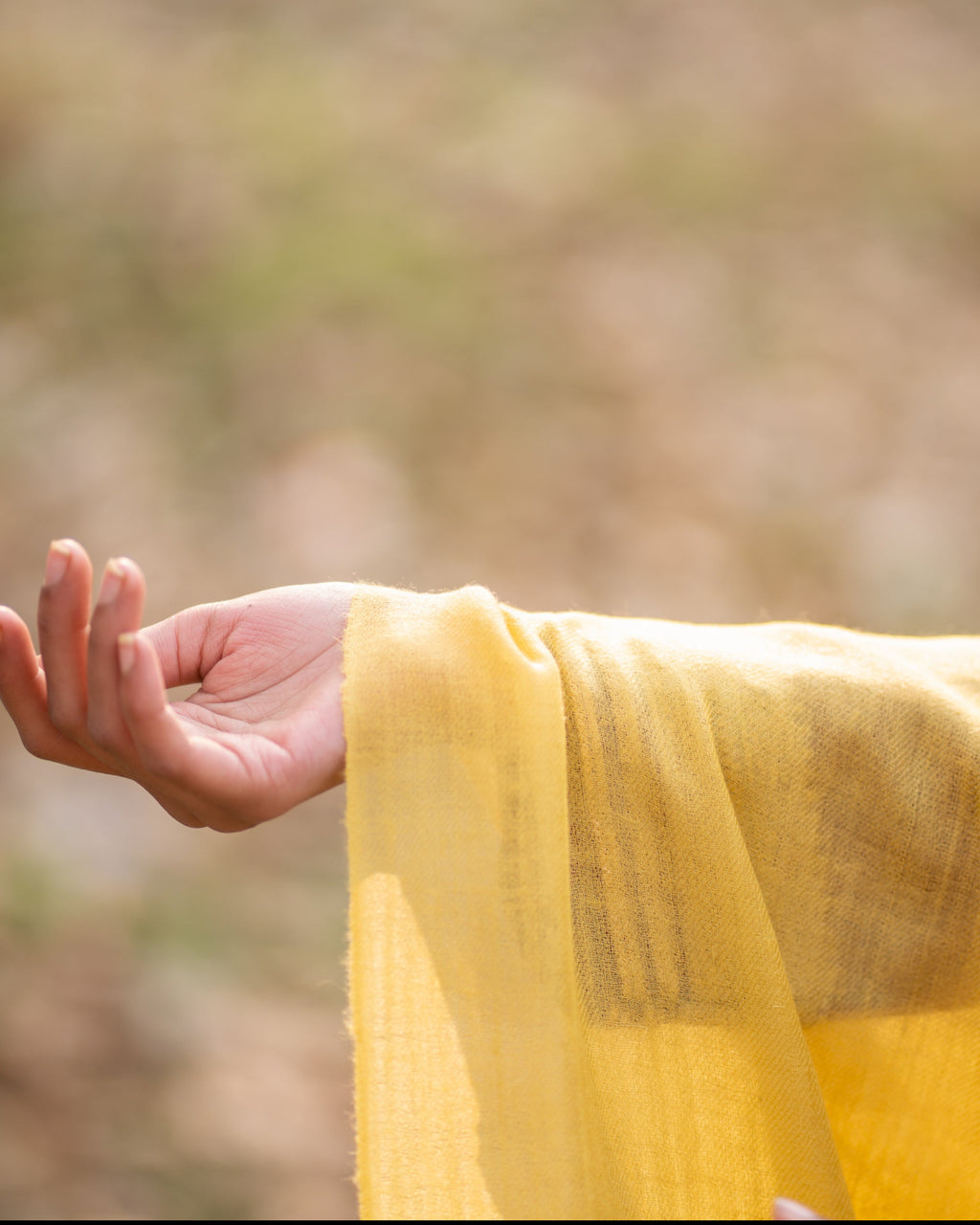 Mustard Pashmina Stole