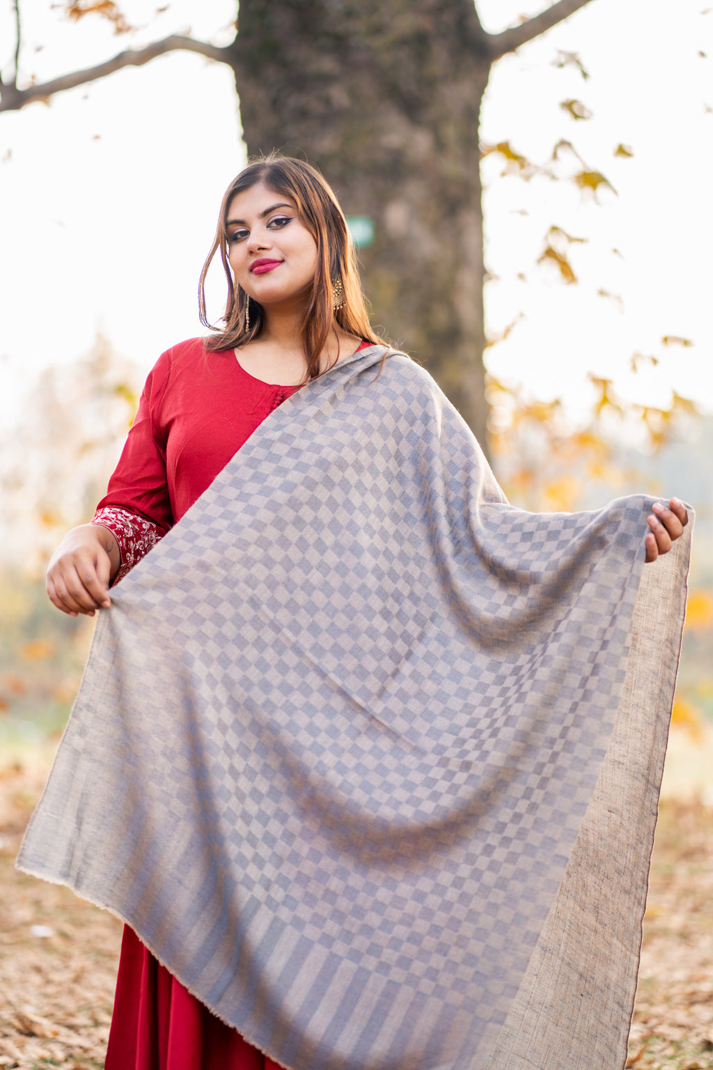Grey Checkered Pashmina Stole