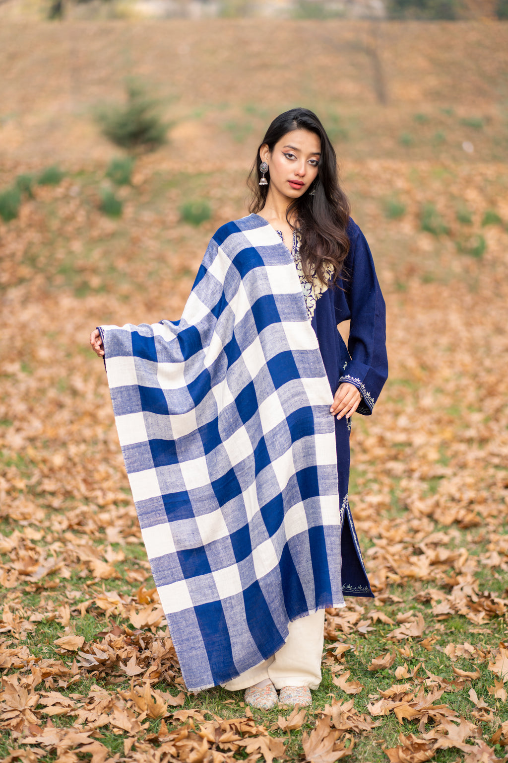 Blue and White Checkered Pashmina Stole