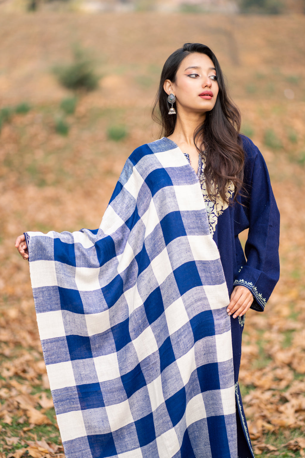 Blue and White Checkered Pashmina Stole