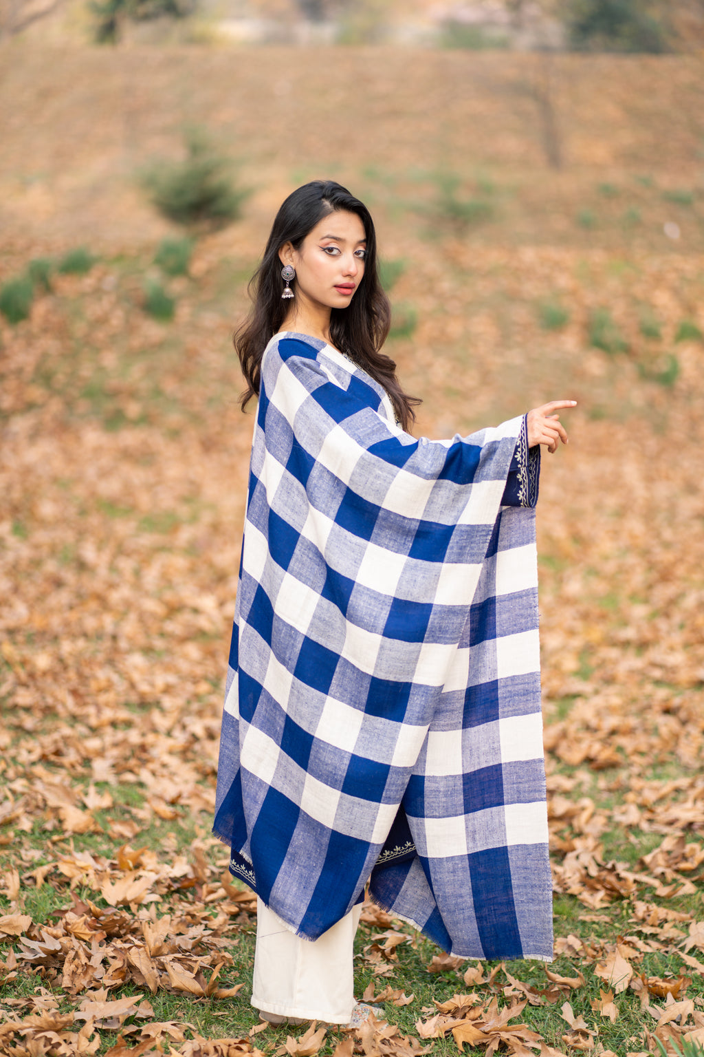 Blue and White Checkered Pashmina Stole
