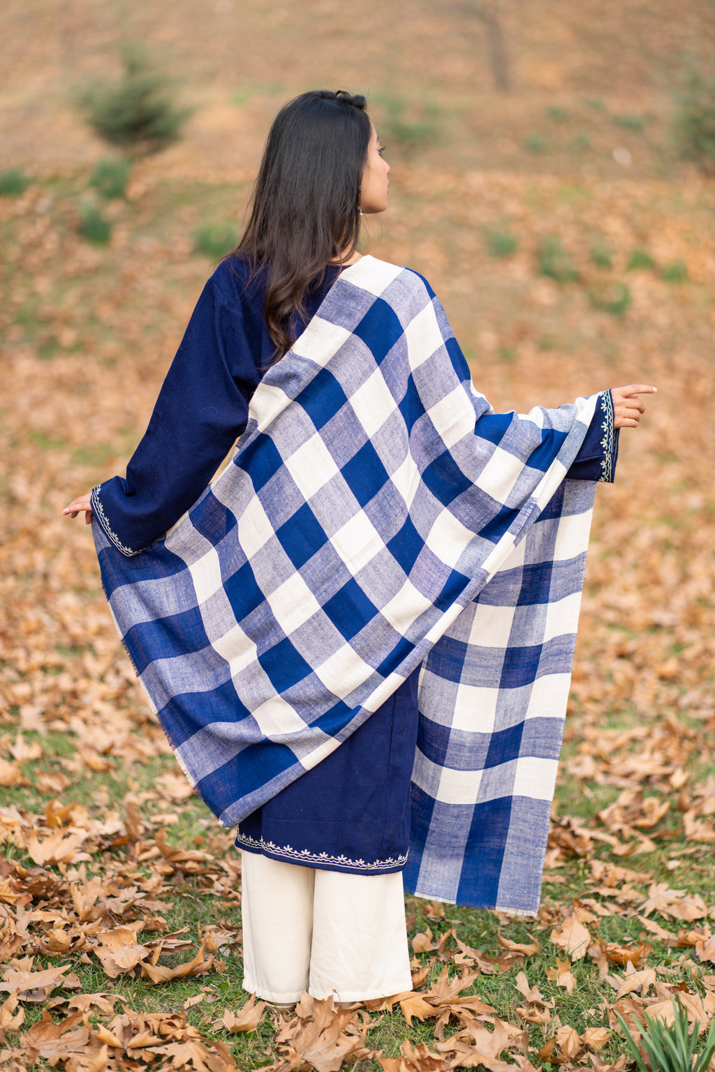 Blue and White Checkered Pashmina Stole