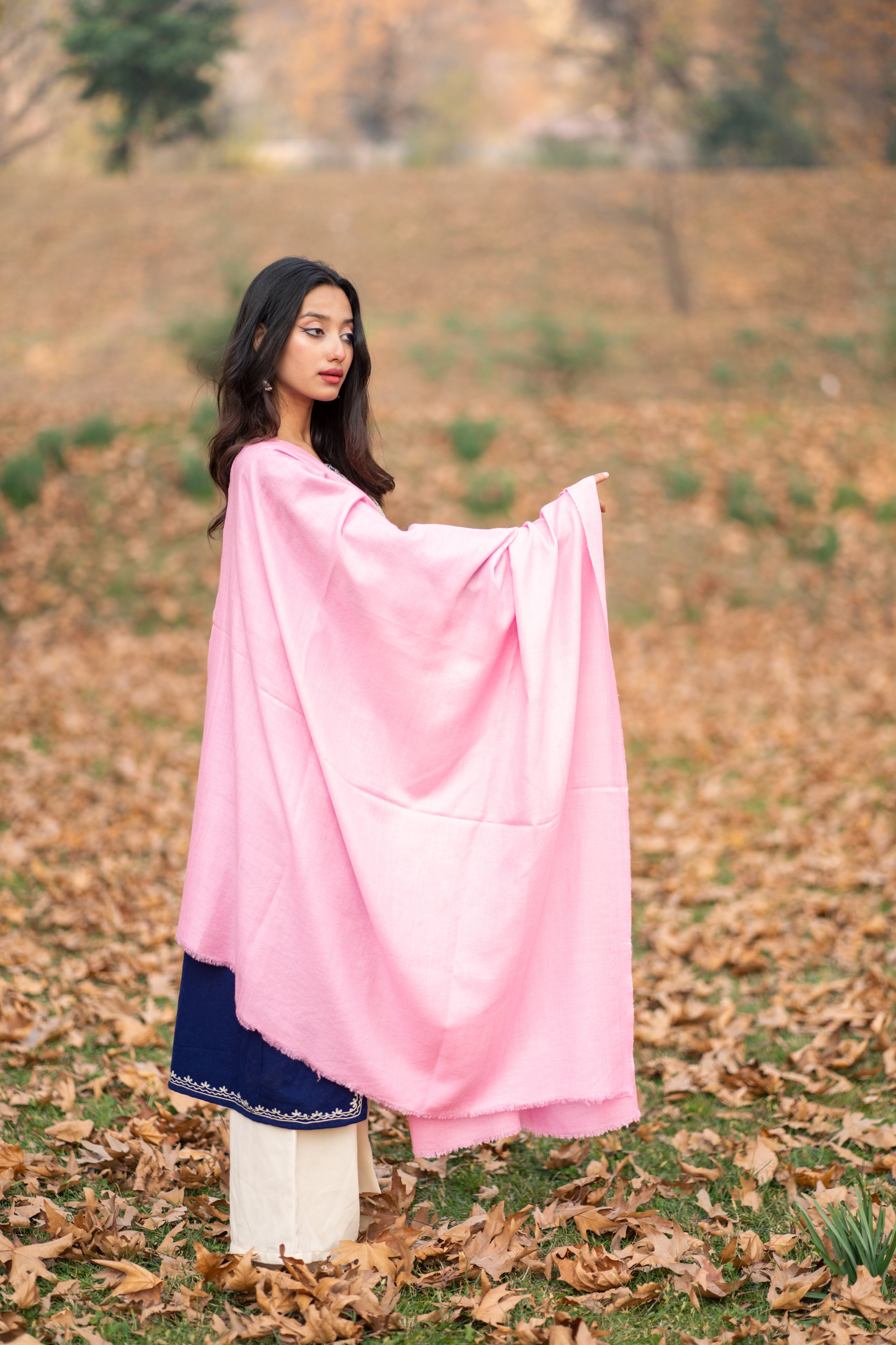 Pink Pashmina Shawl