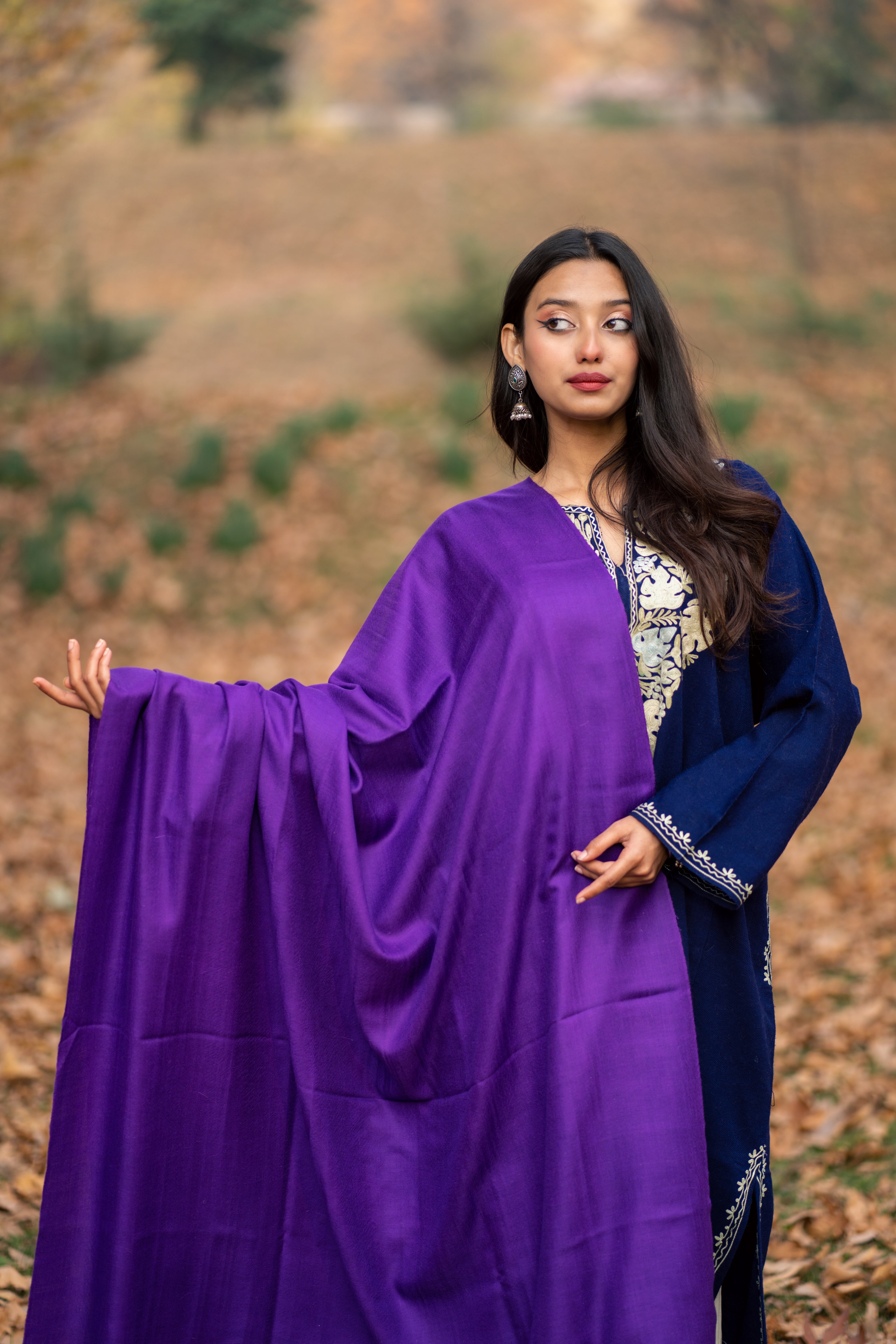 Purple Pashmina Shawl