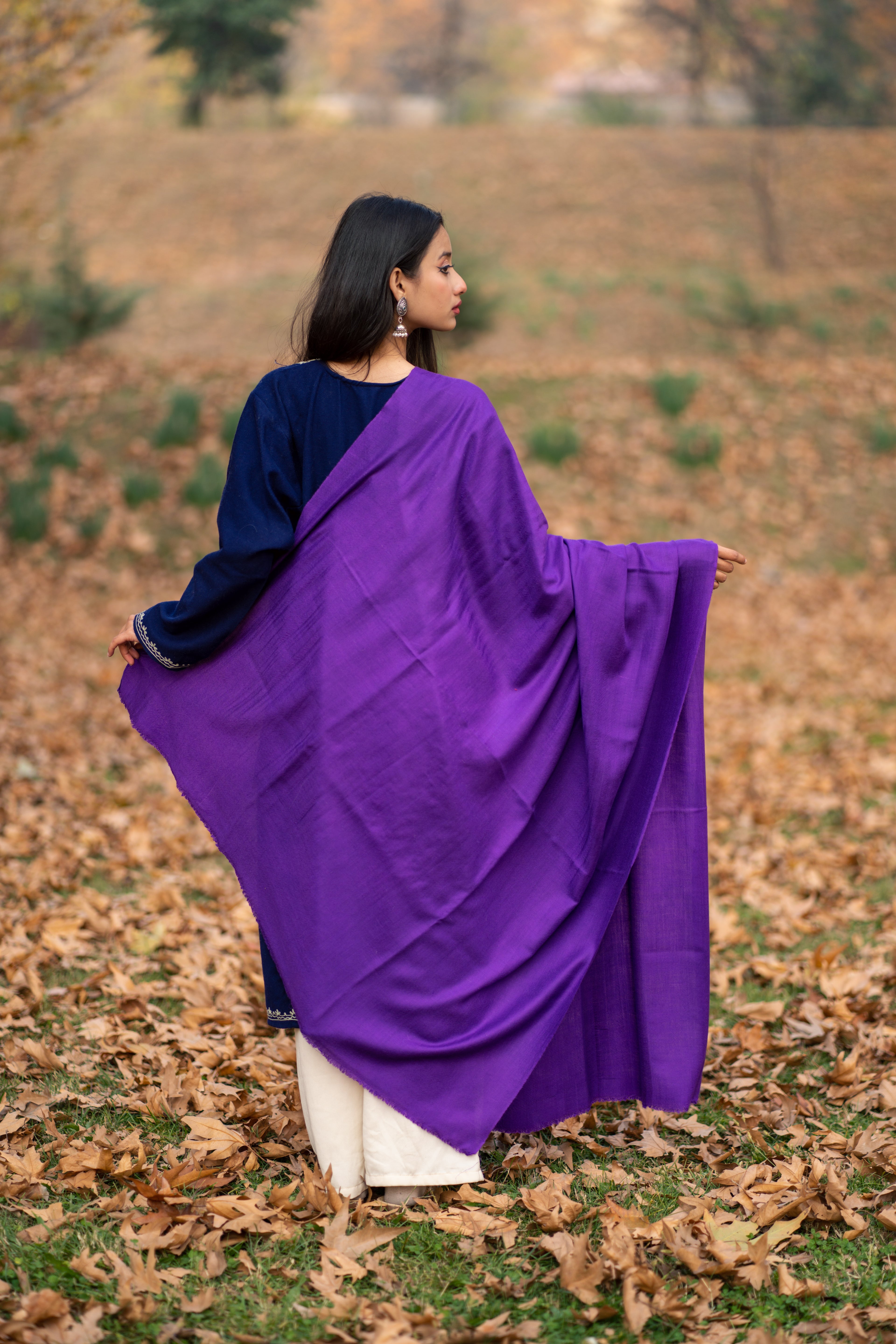 Purple Pashmina Shawl