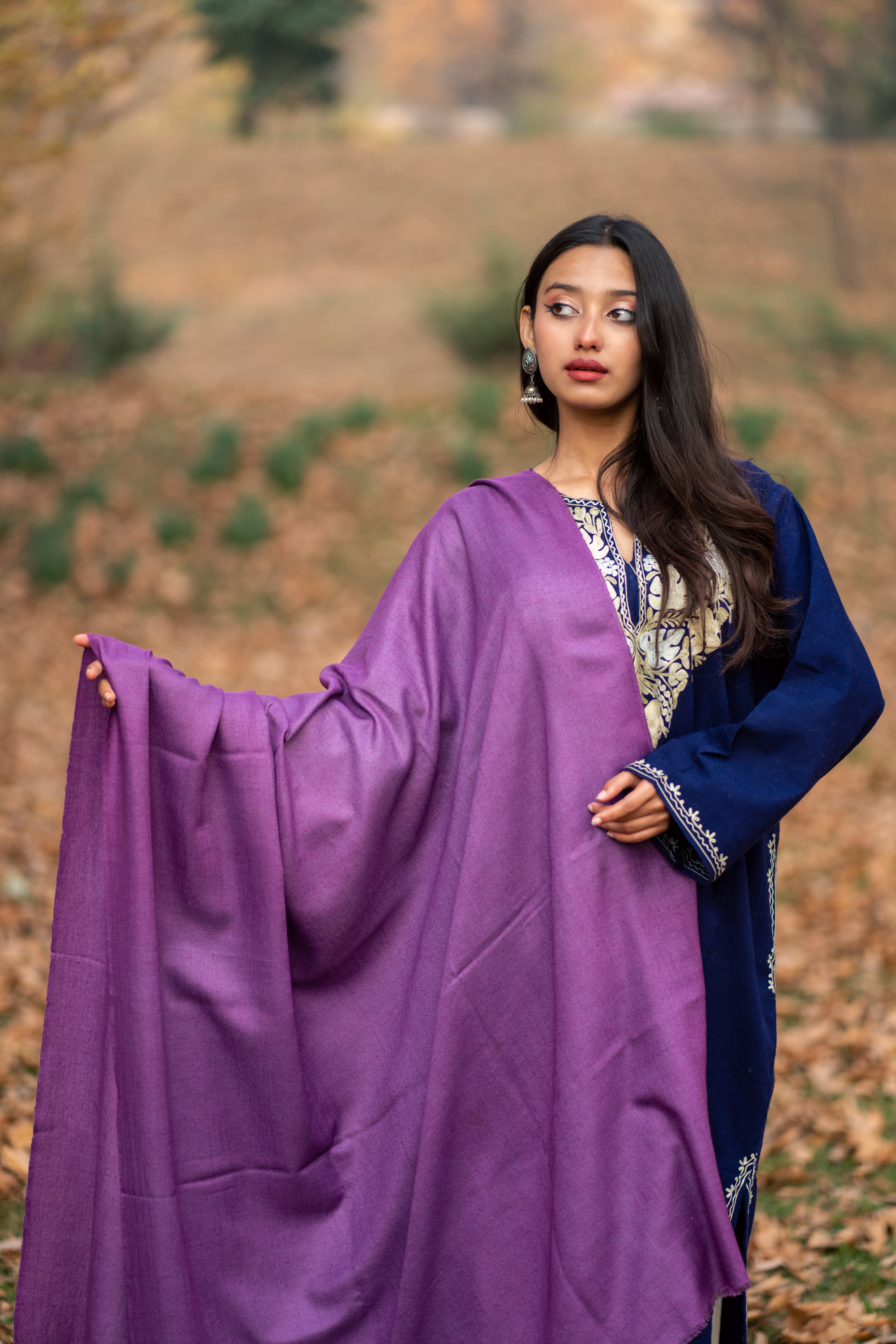 Purple Pashmina shawl