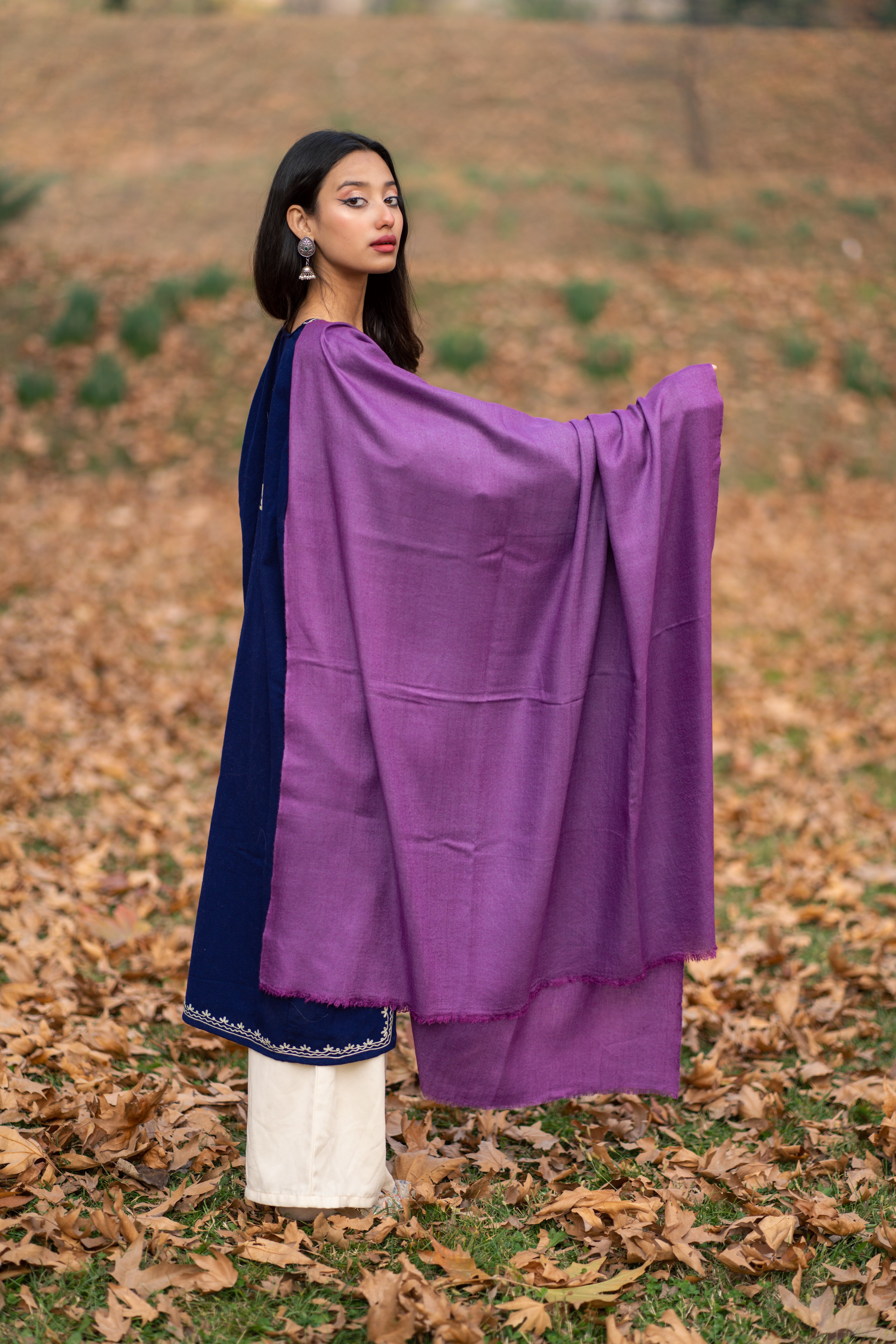 Purple Pashmina shawl