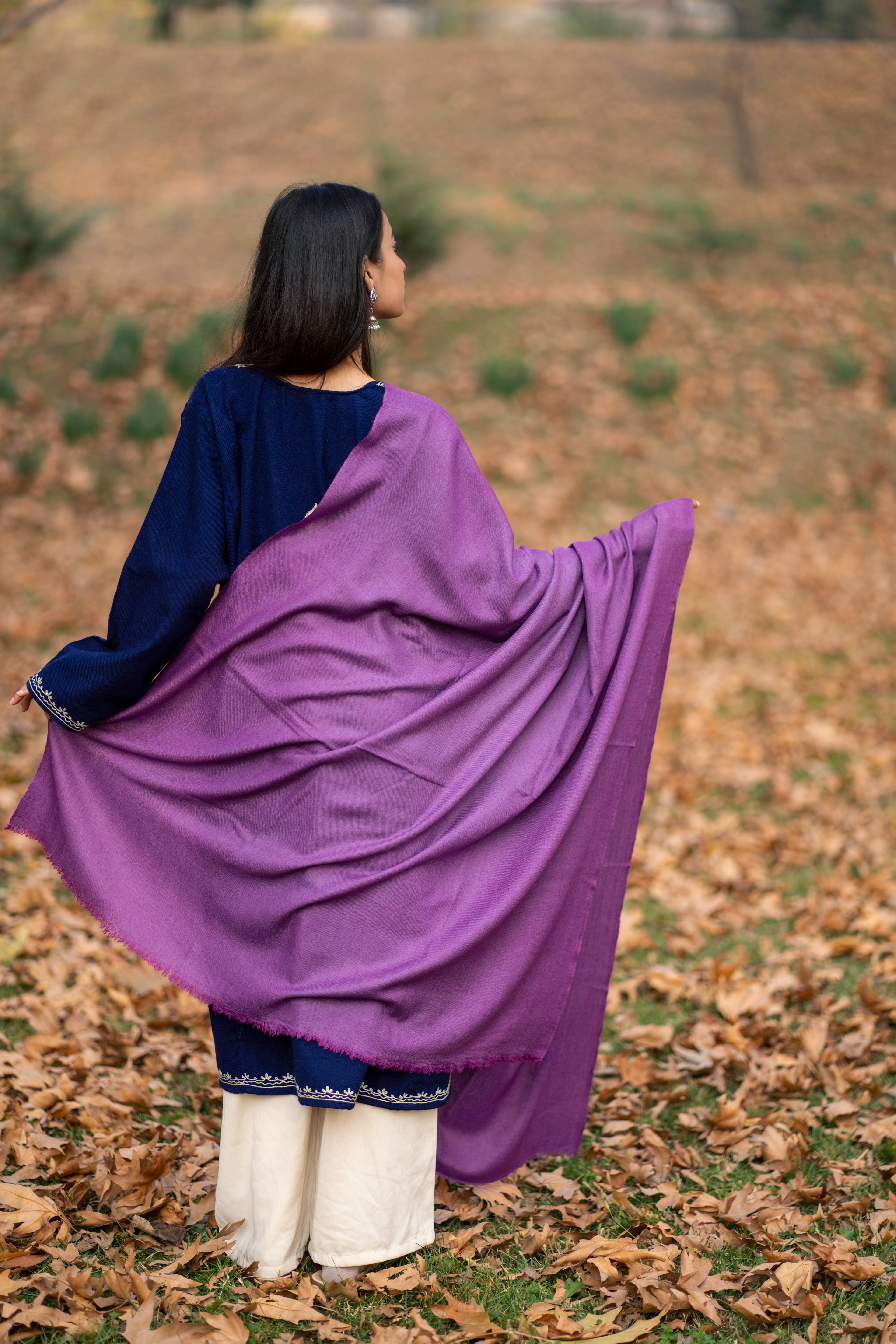 Purple Pashmina shawl