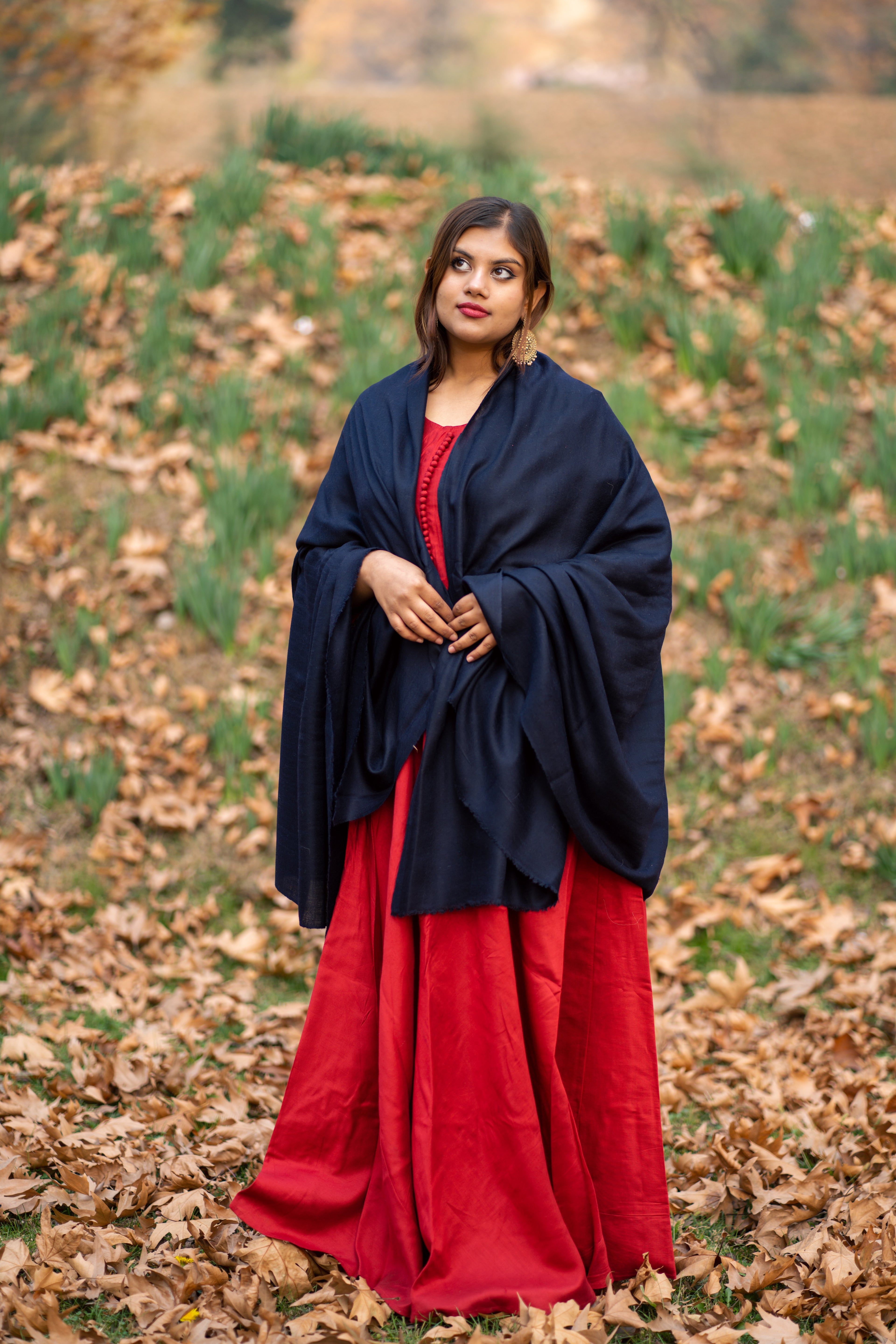 Navy Blue Pashmina Shawl