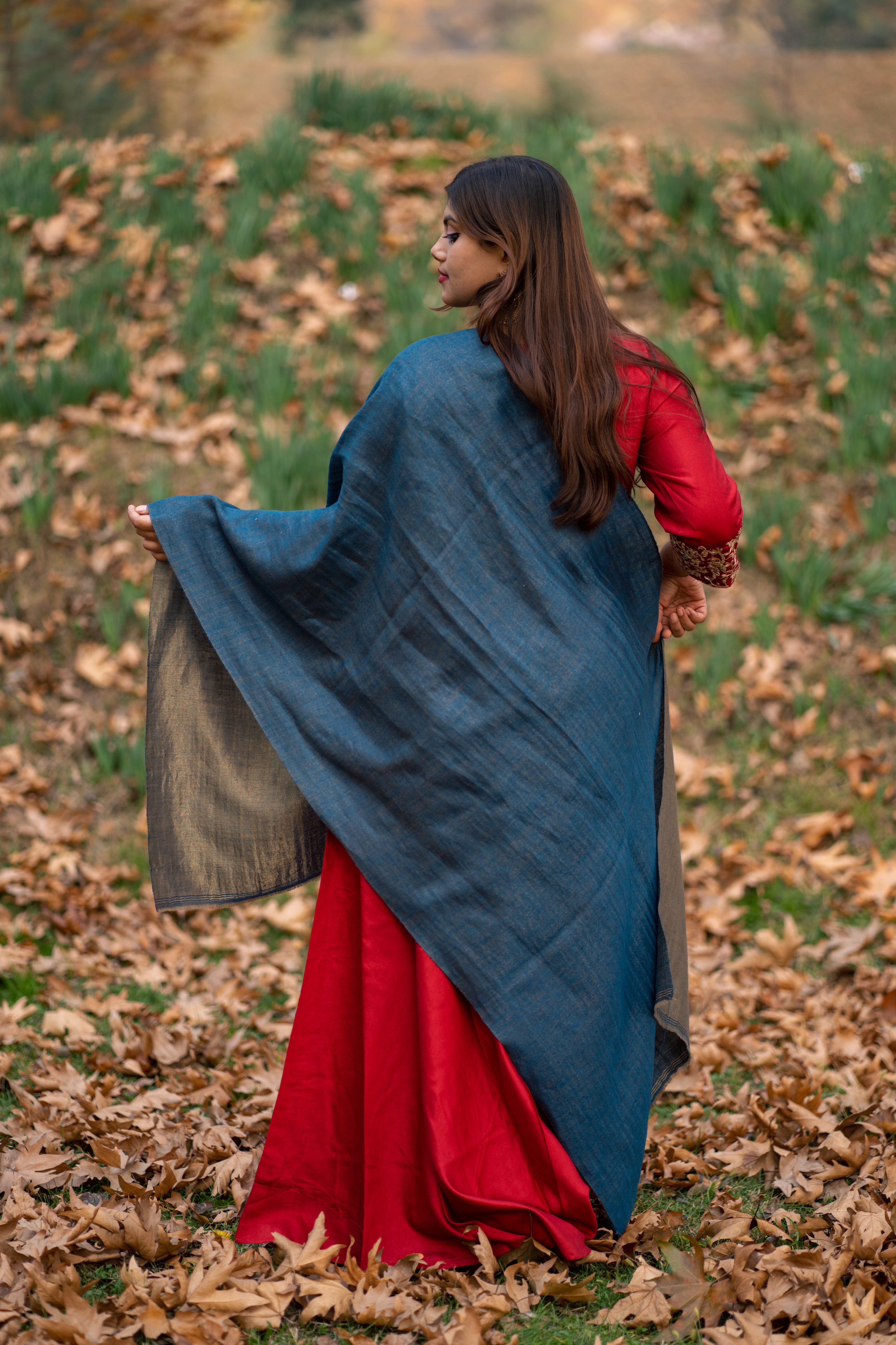 Blue and Gold Zari Weave  Reversible Pashmina Wrap