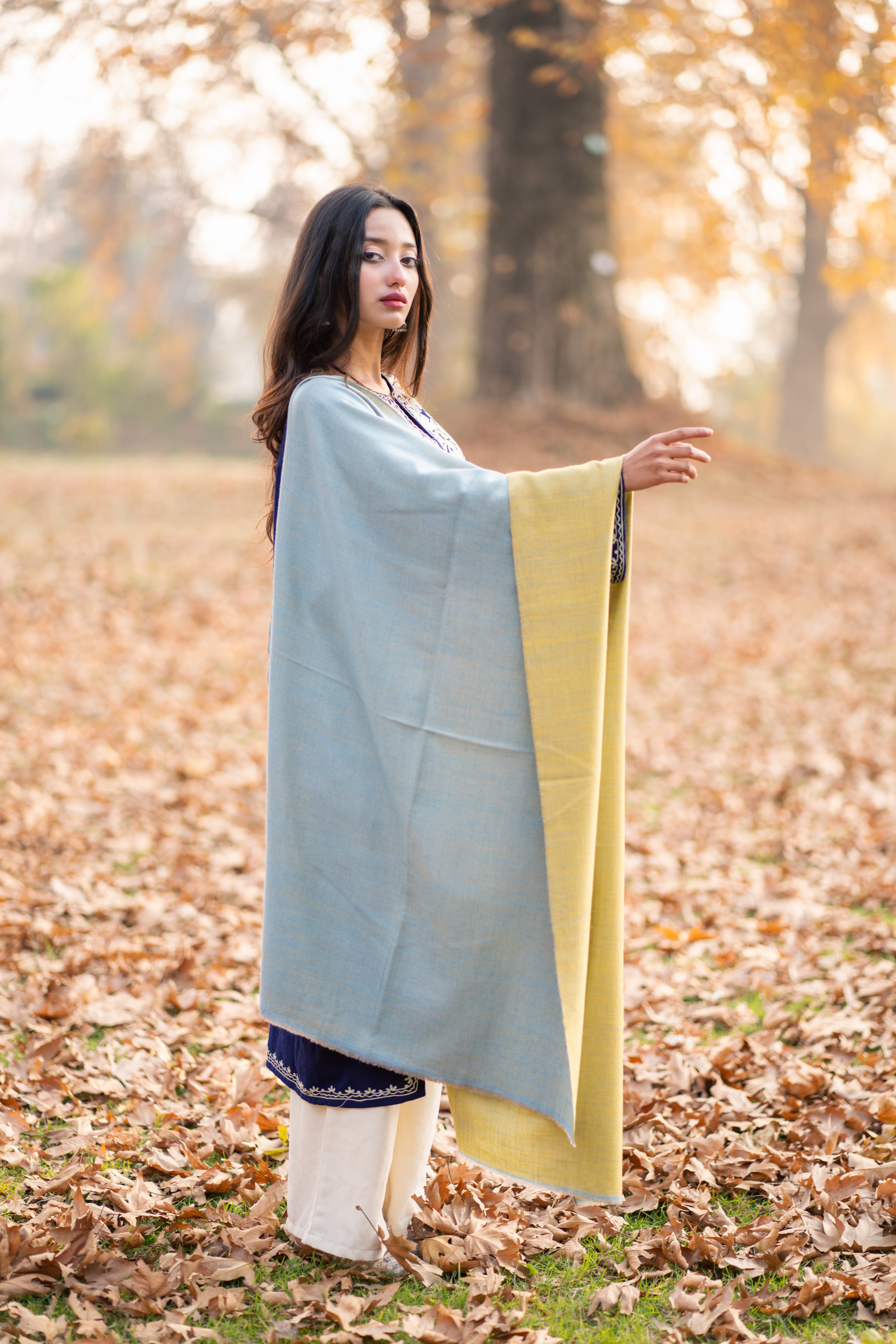 Blue & Yellow Reversible Pashmina Wrap
