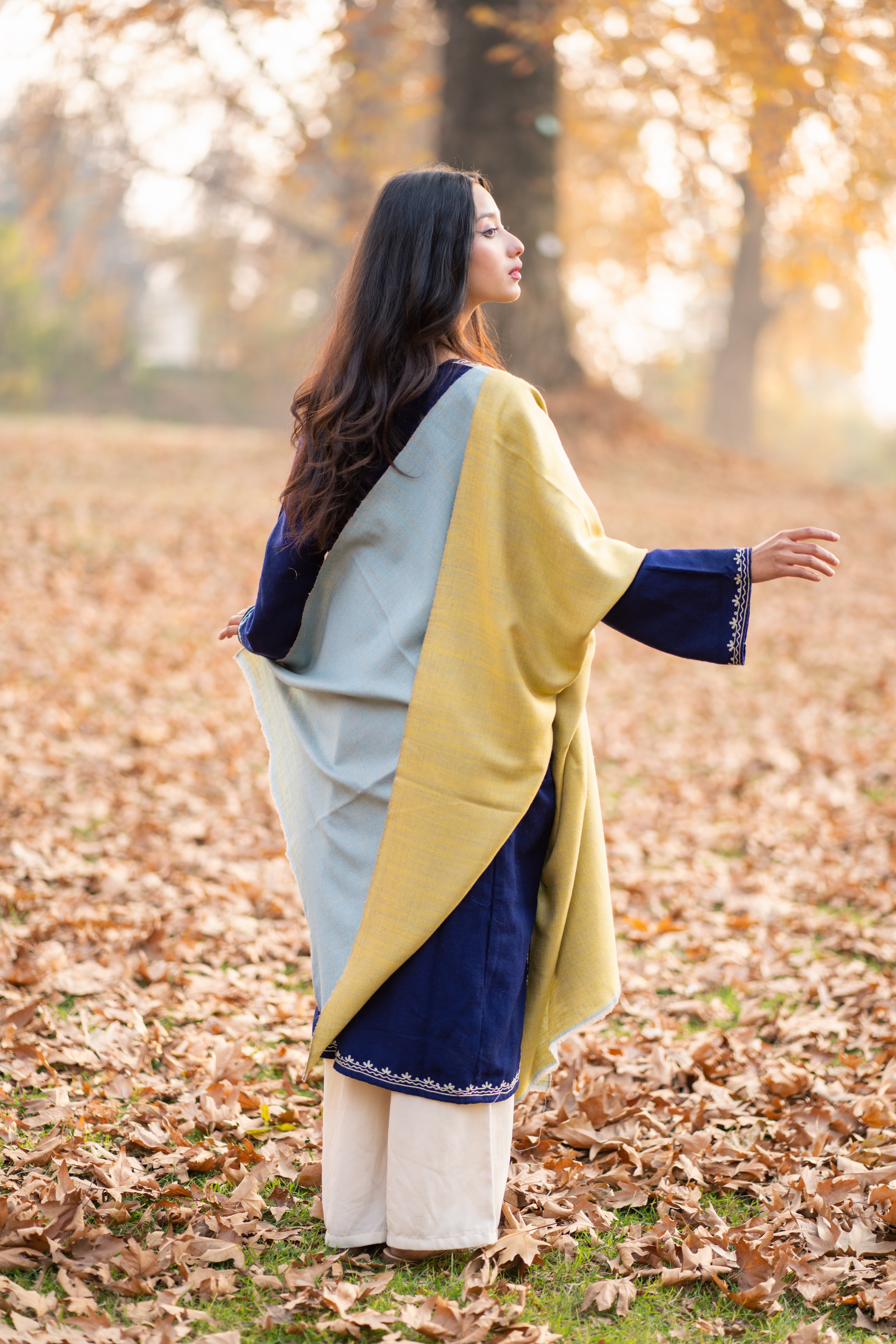 Blue & Yellow Reversible Pashmina Wrap