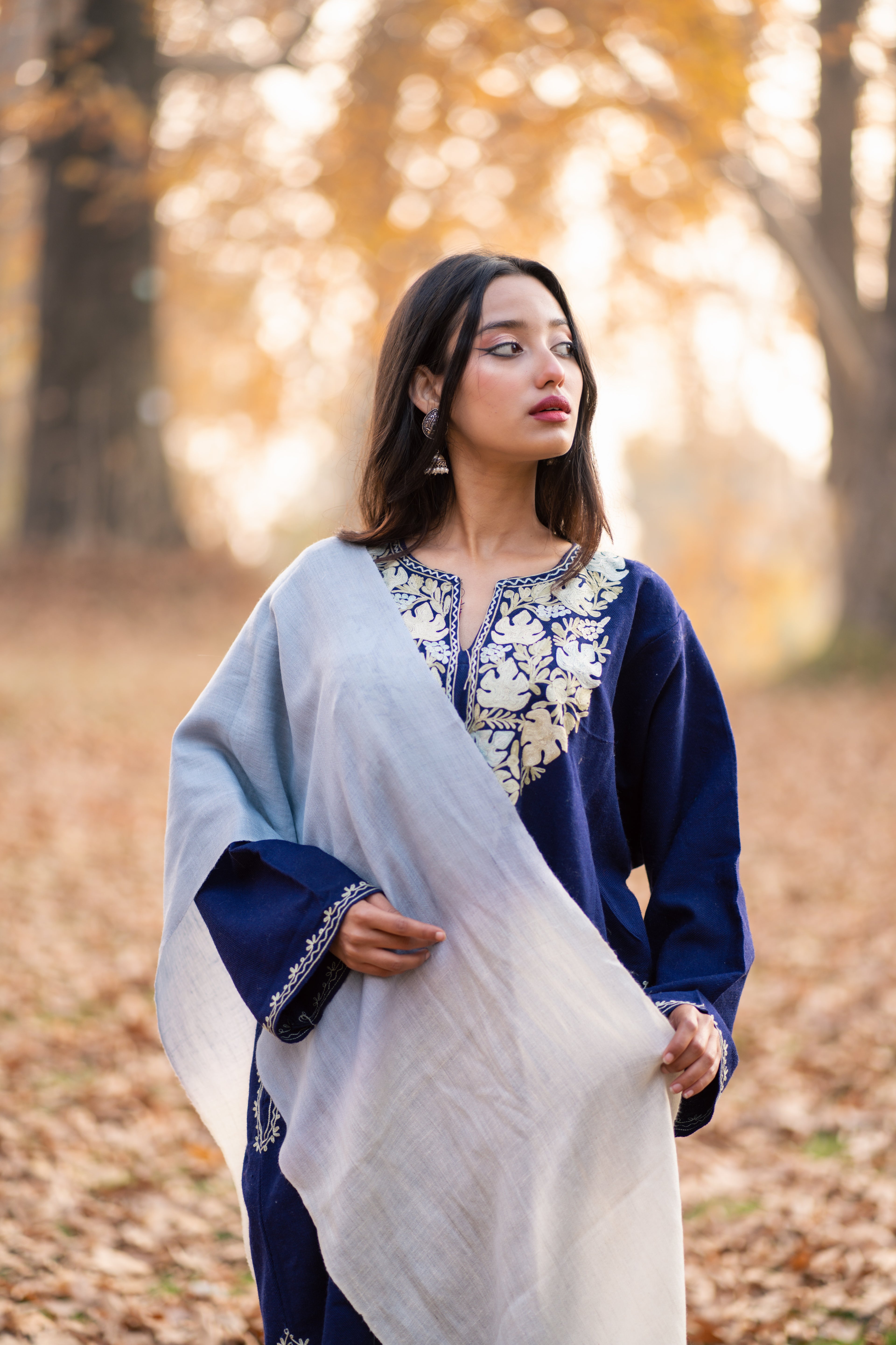 Blue & White Ombre Pashmina Muffler