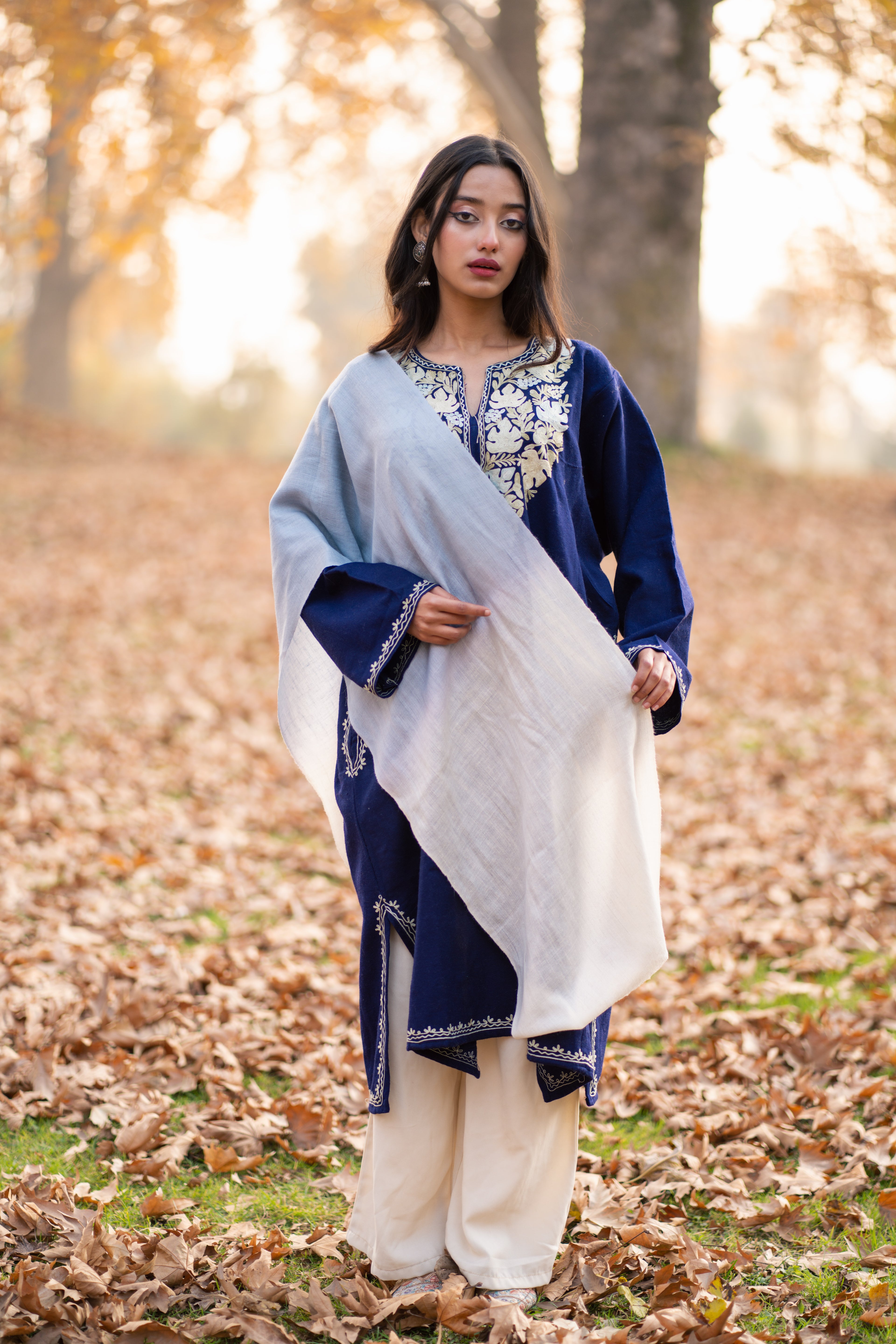 Blue & White Ombre Pashmina Muffler