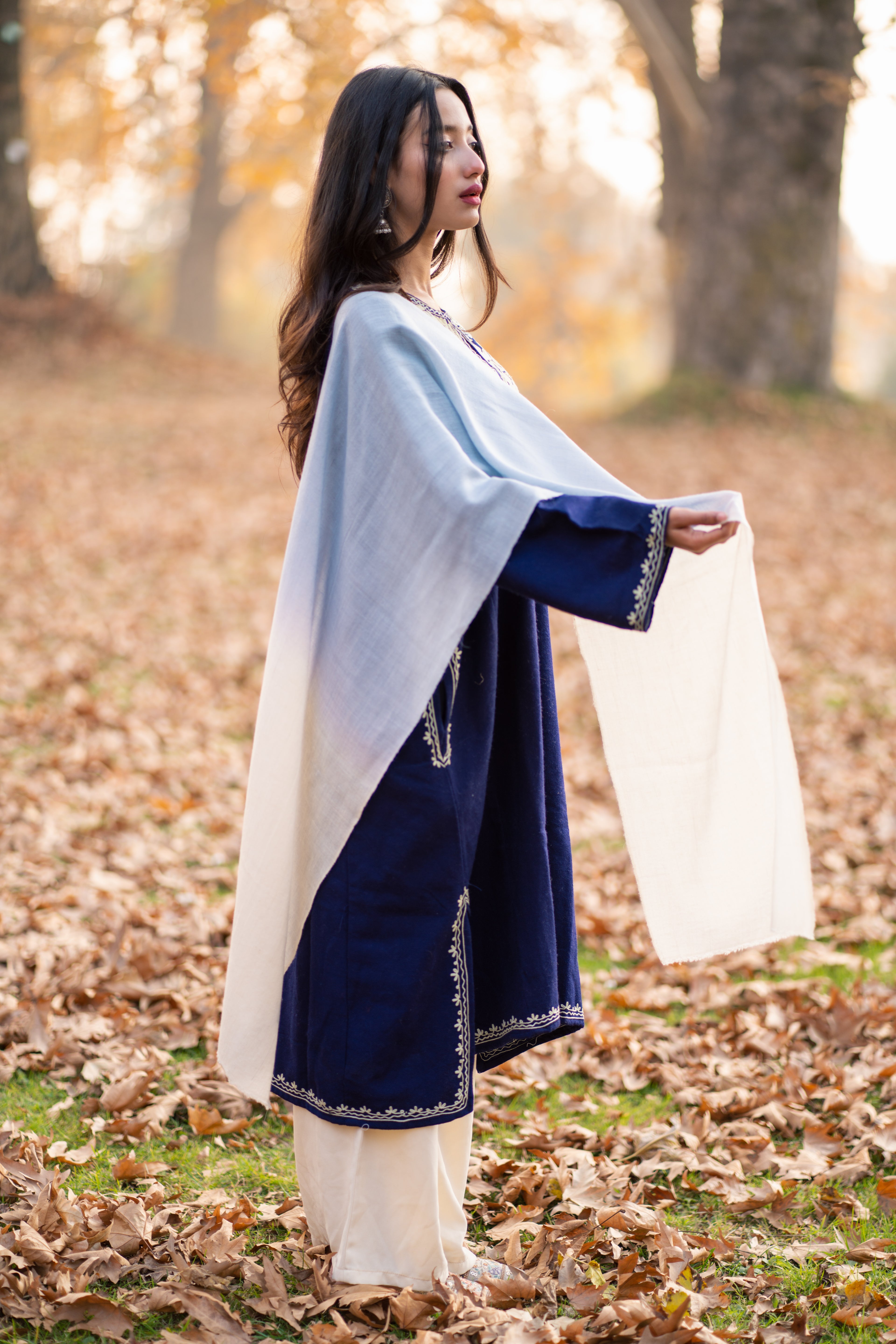 Blue & White Ombre Pashmina Muffler