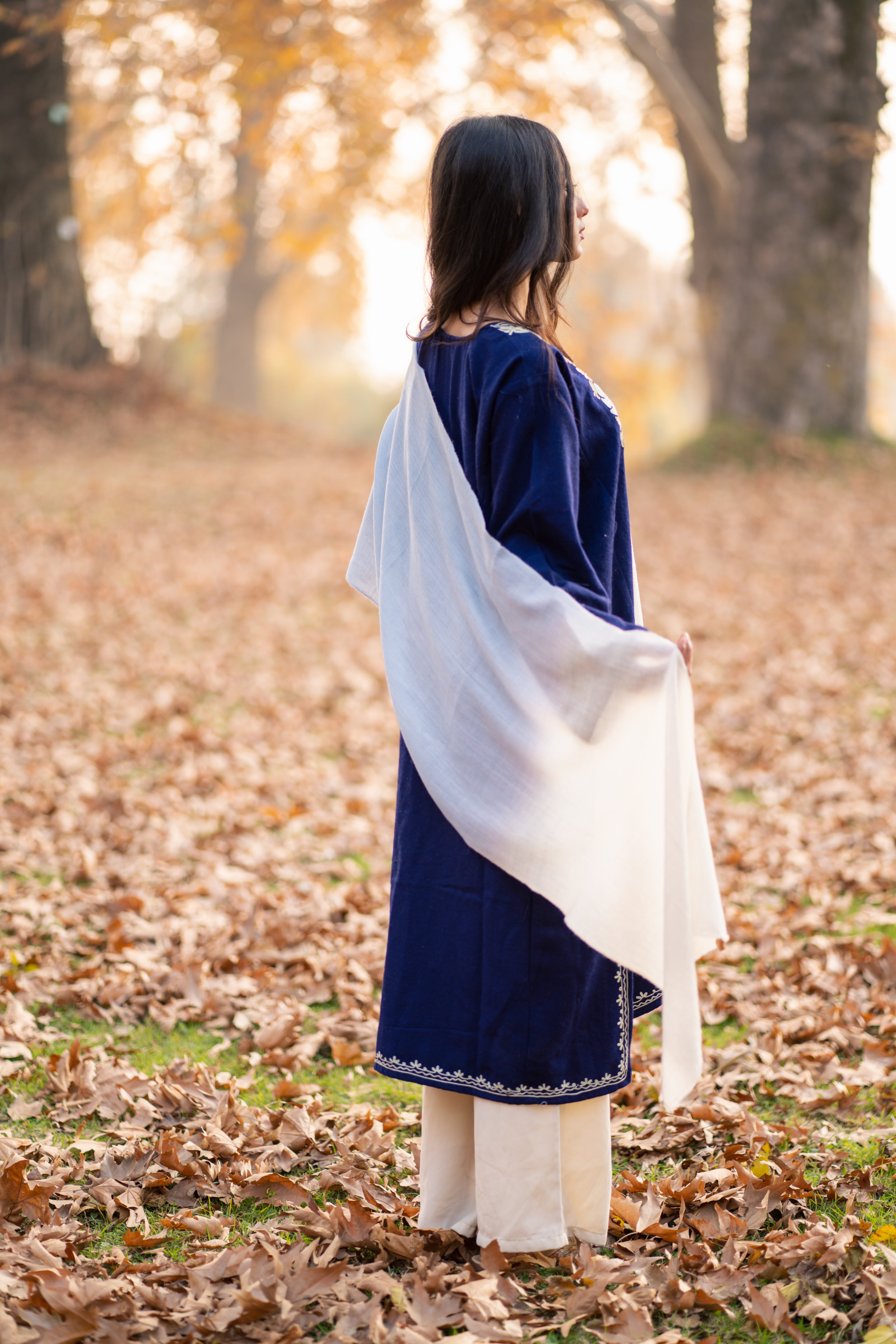 Blue & White Ombre Pashmina Muffler