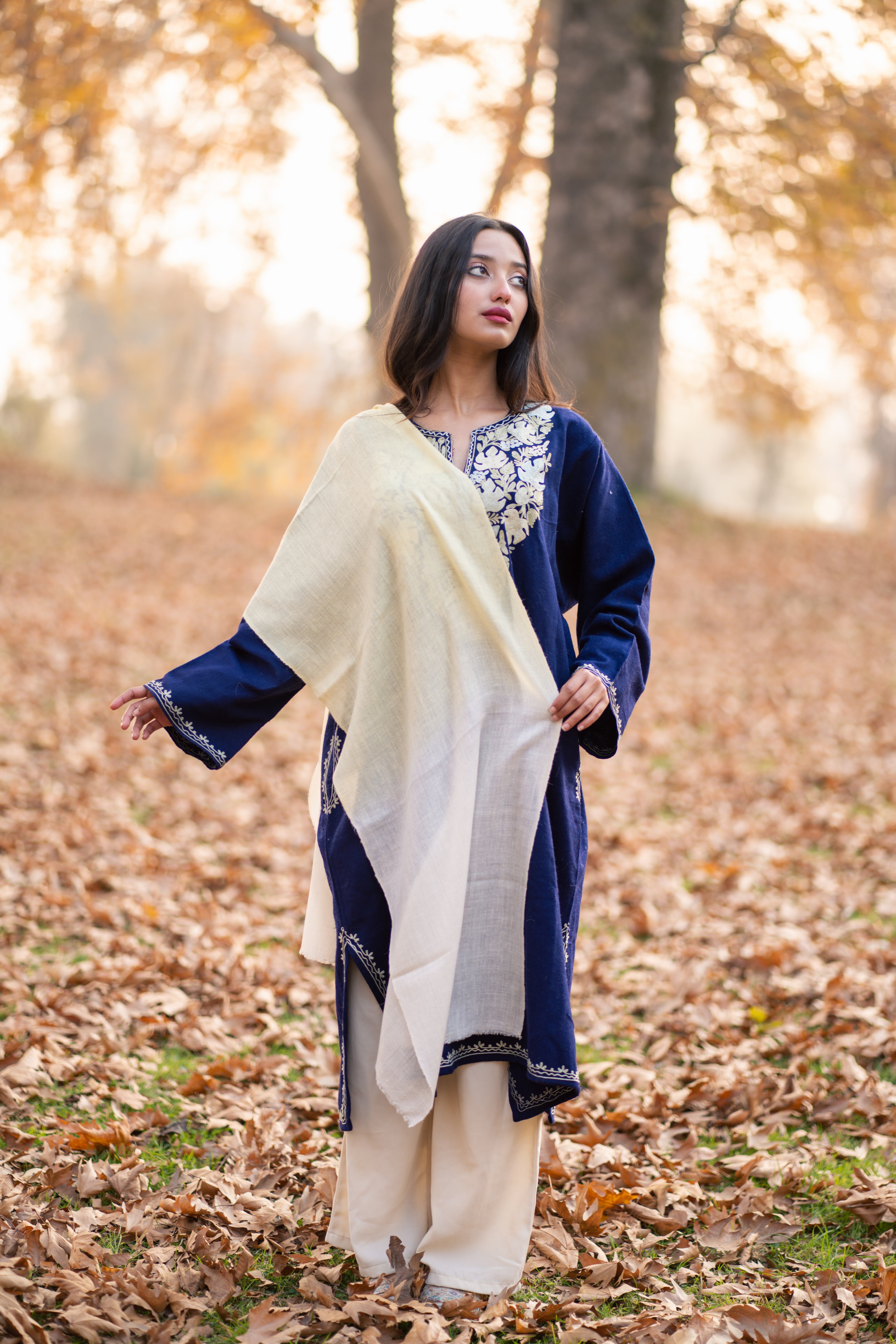 Ivory and Yellow Ombre Pashmina Muffler