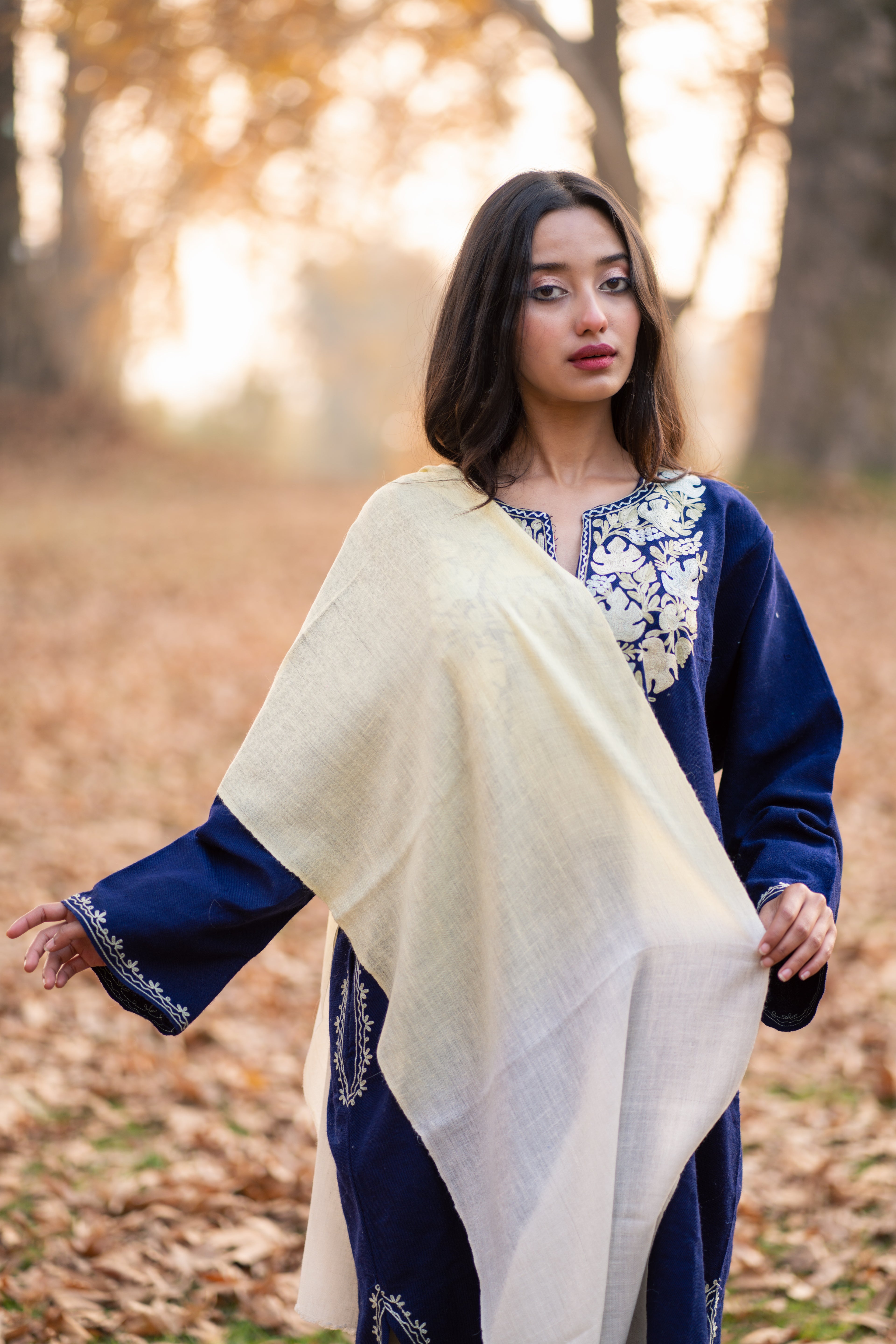 Ivory and Yellow Ombre Pashmina Muffler
