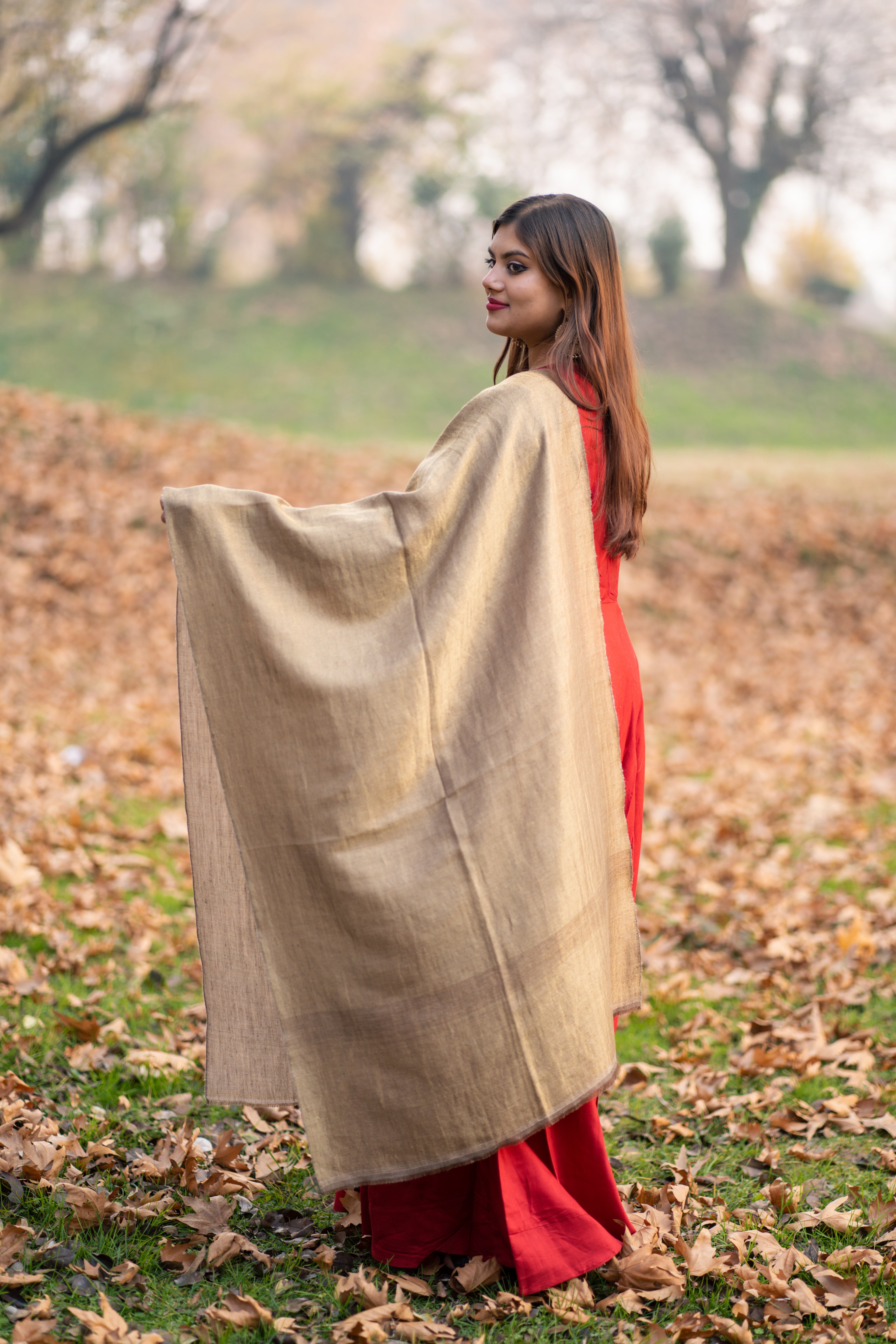 Grey and Gold Zari Reversible Pashmina Wrap