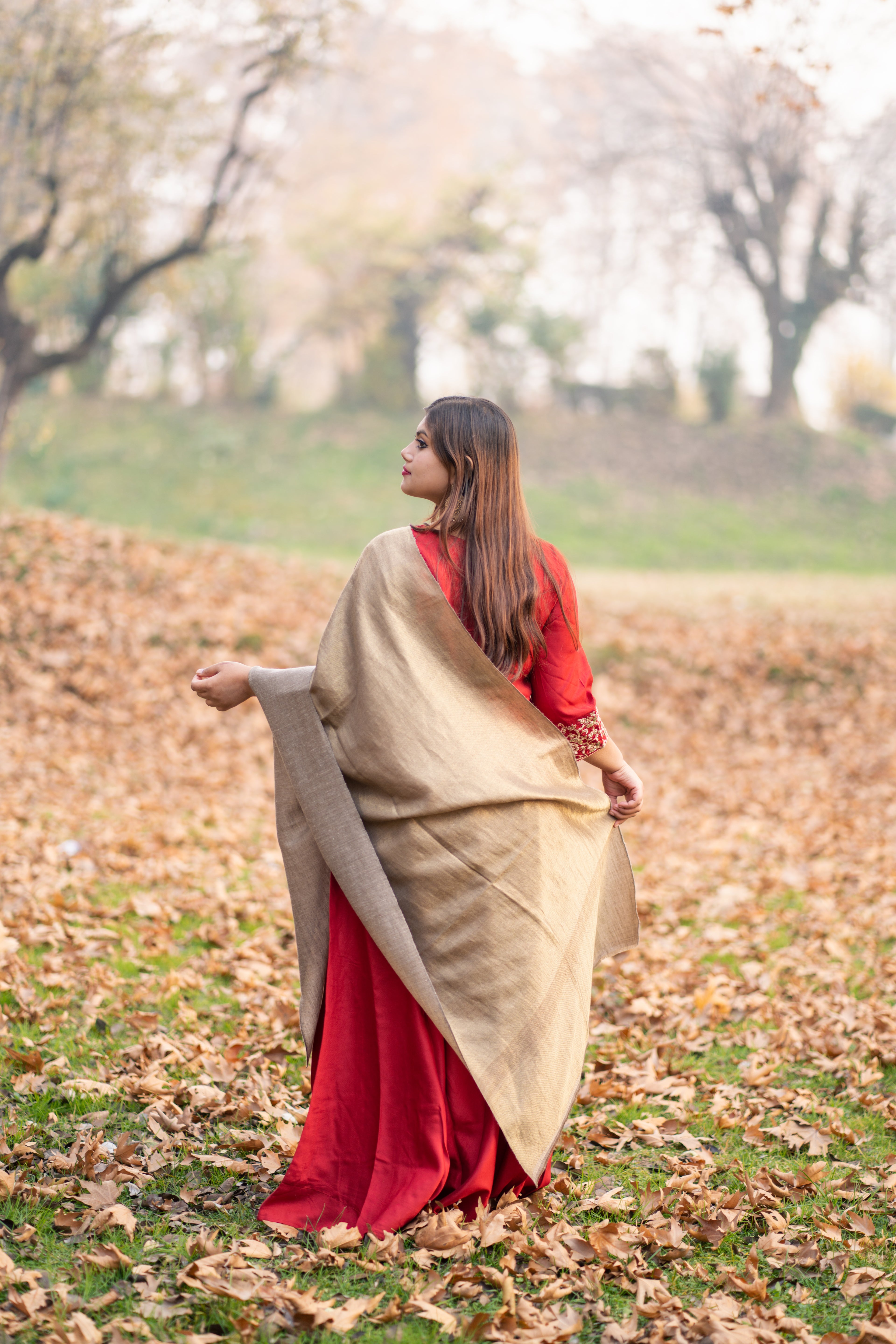 Grey and Gold Zari Reversible Pashmina Wrap