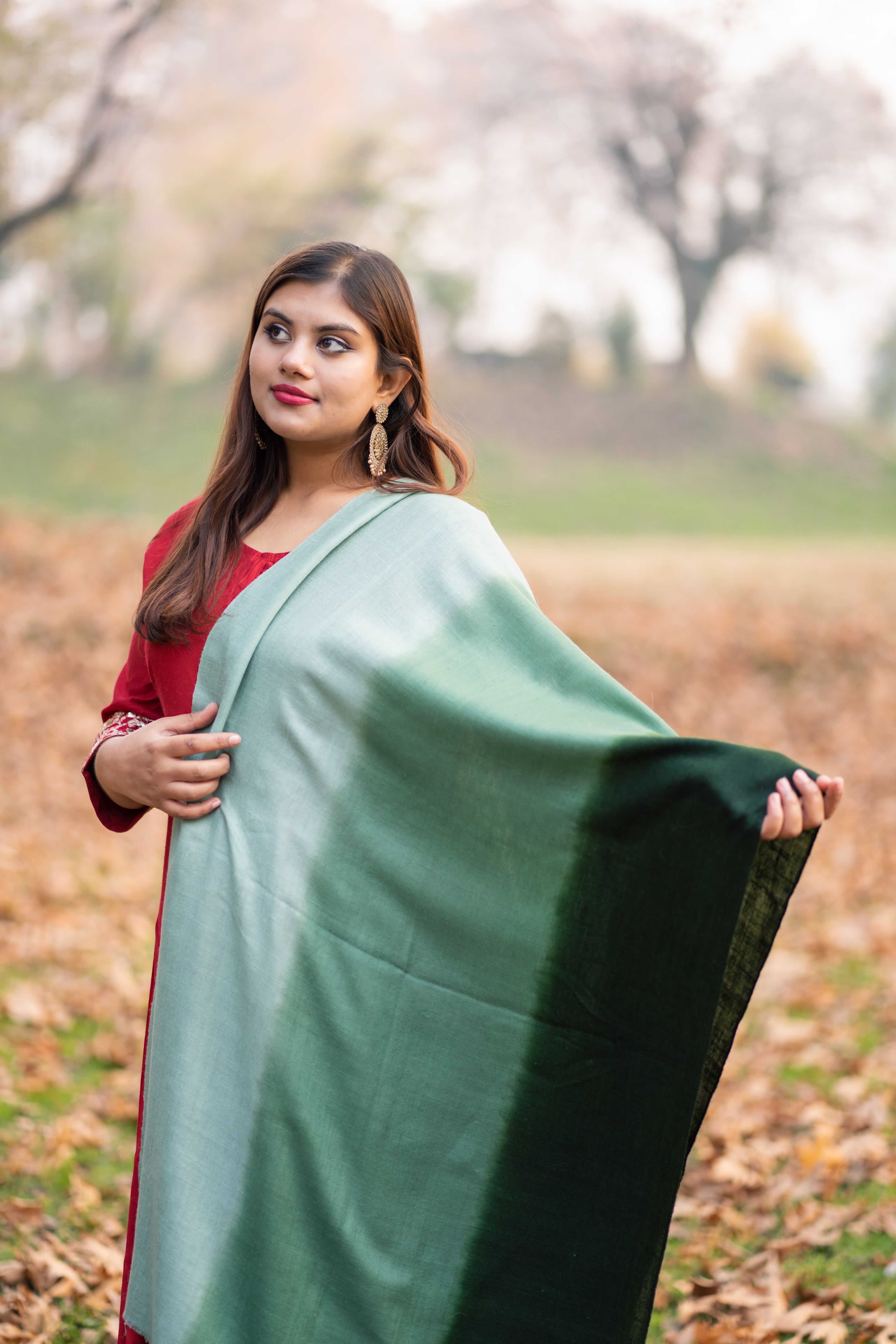 Green Ombre Pashmina Wrap