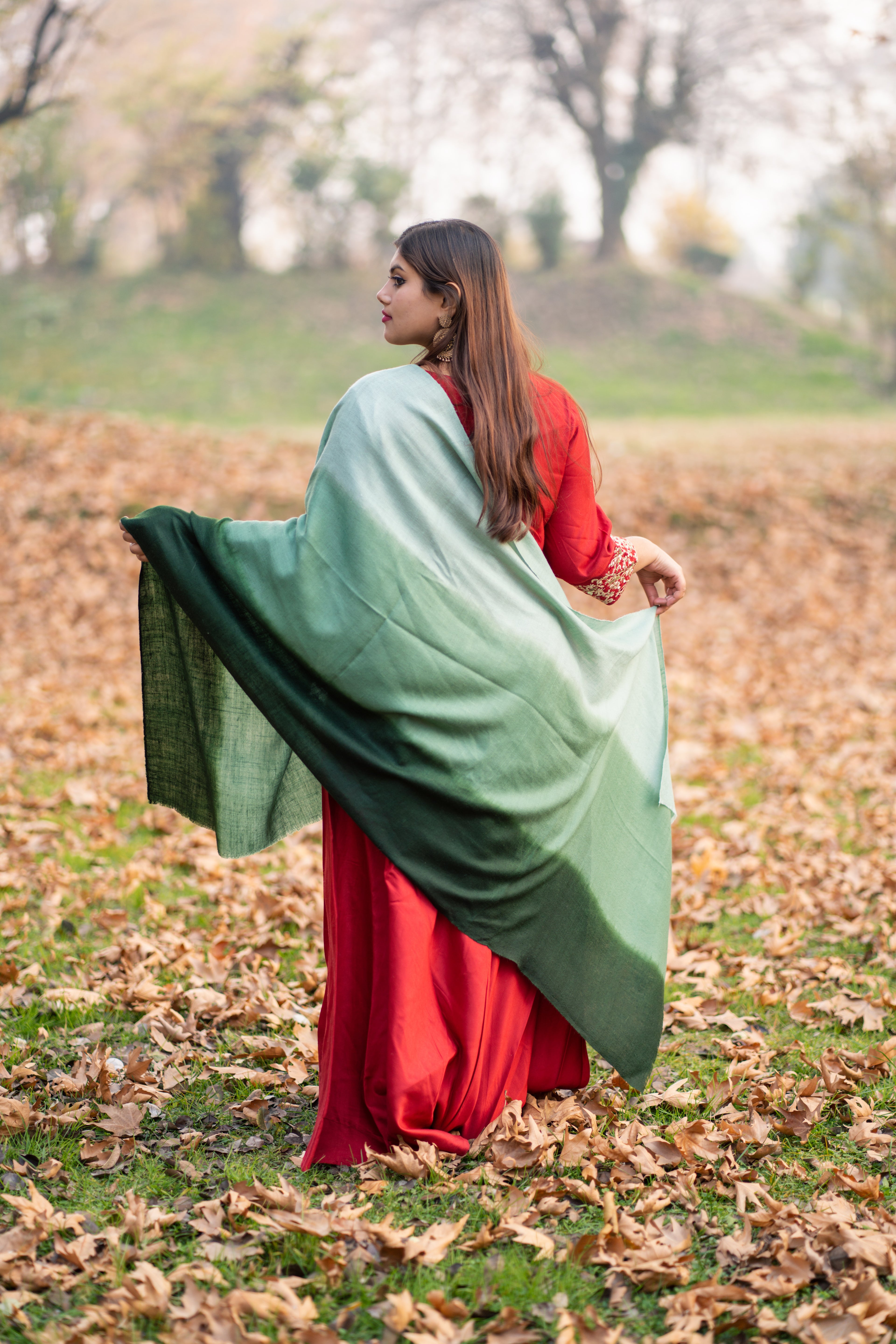 Green Ombre Pashmina Wrap