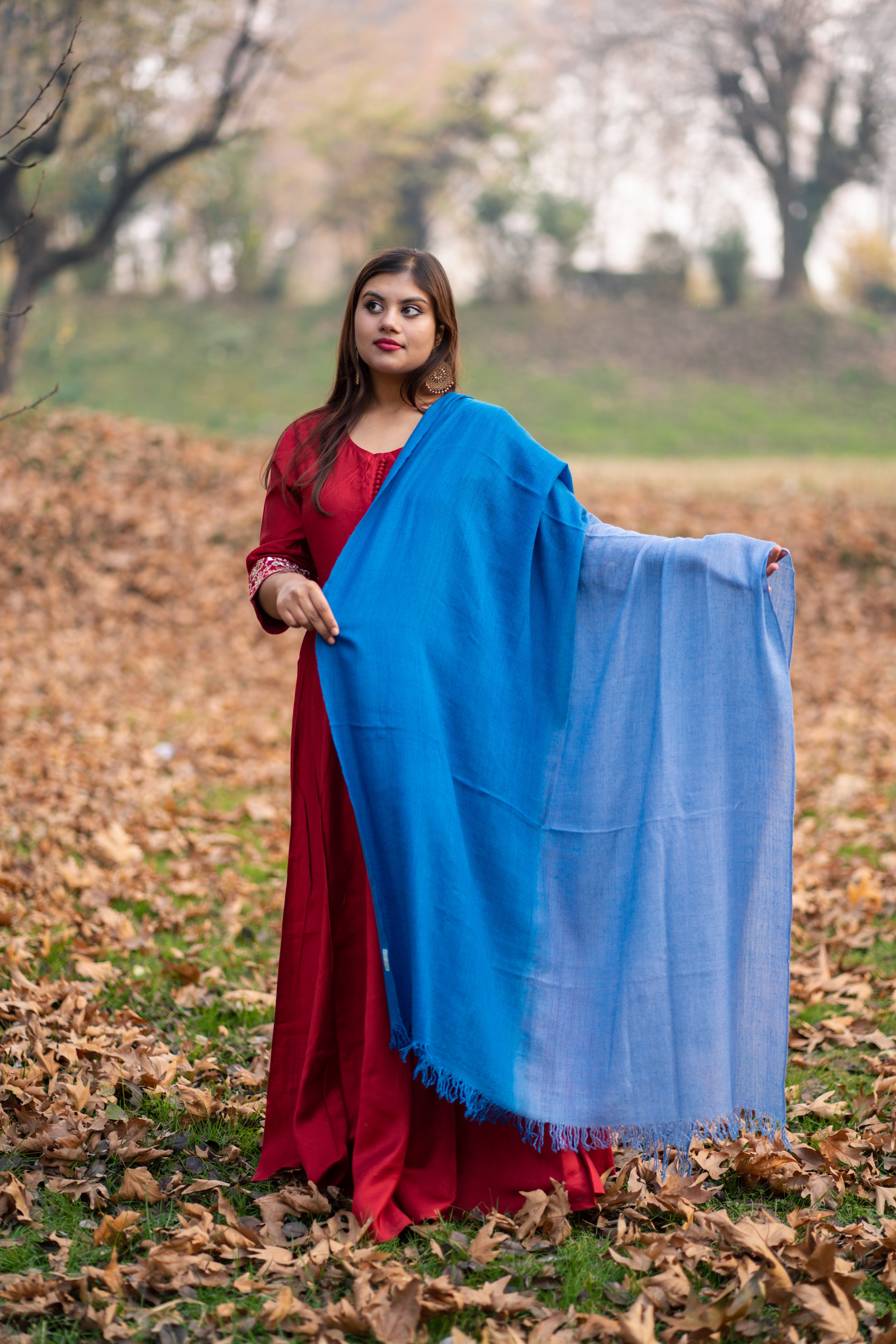 Blue Ombre Handspun Pashmina Shawl
