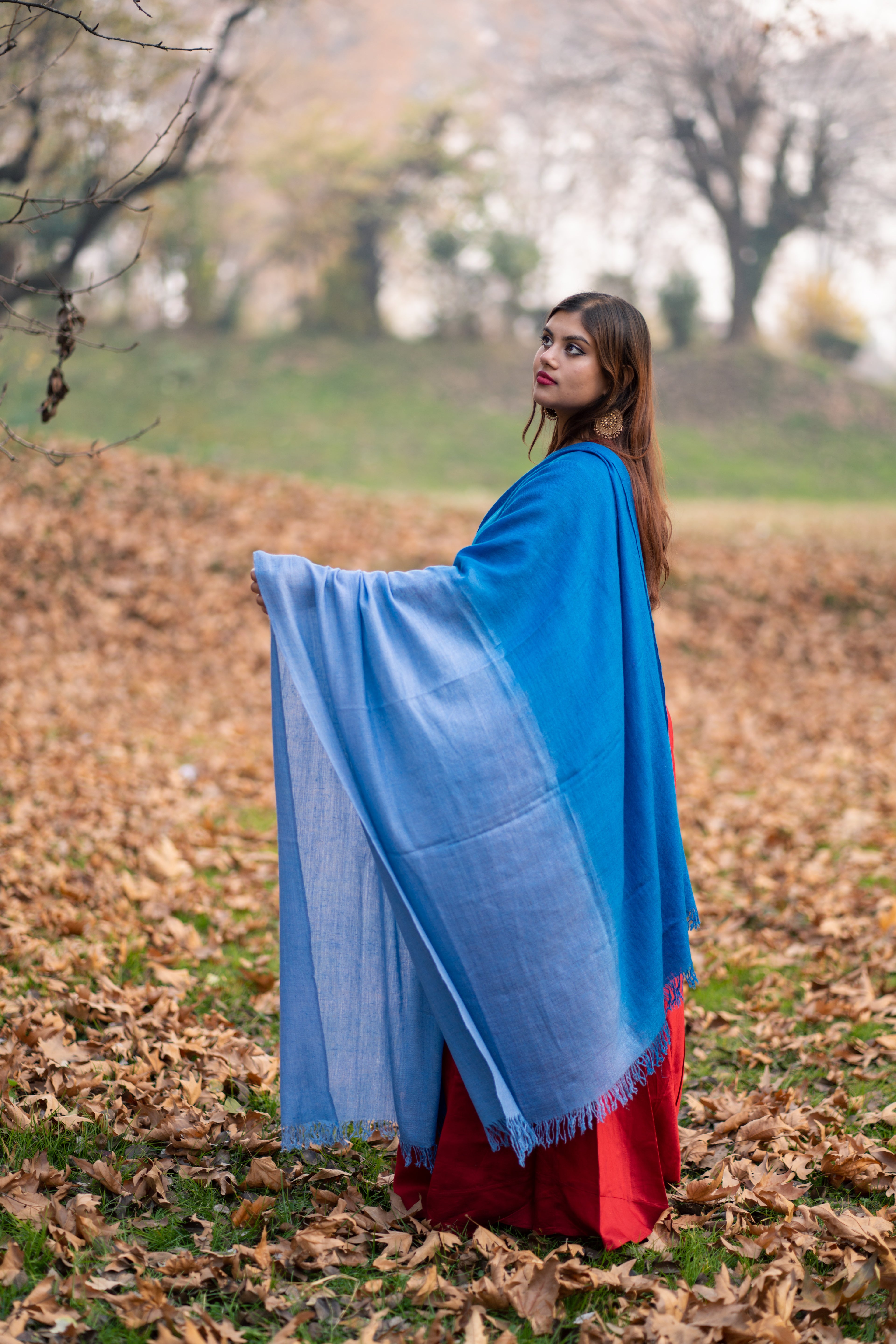 Blue Ombre Handspun Pashmina Shawl