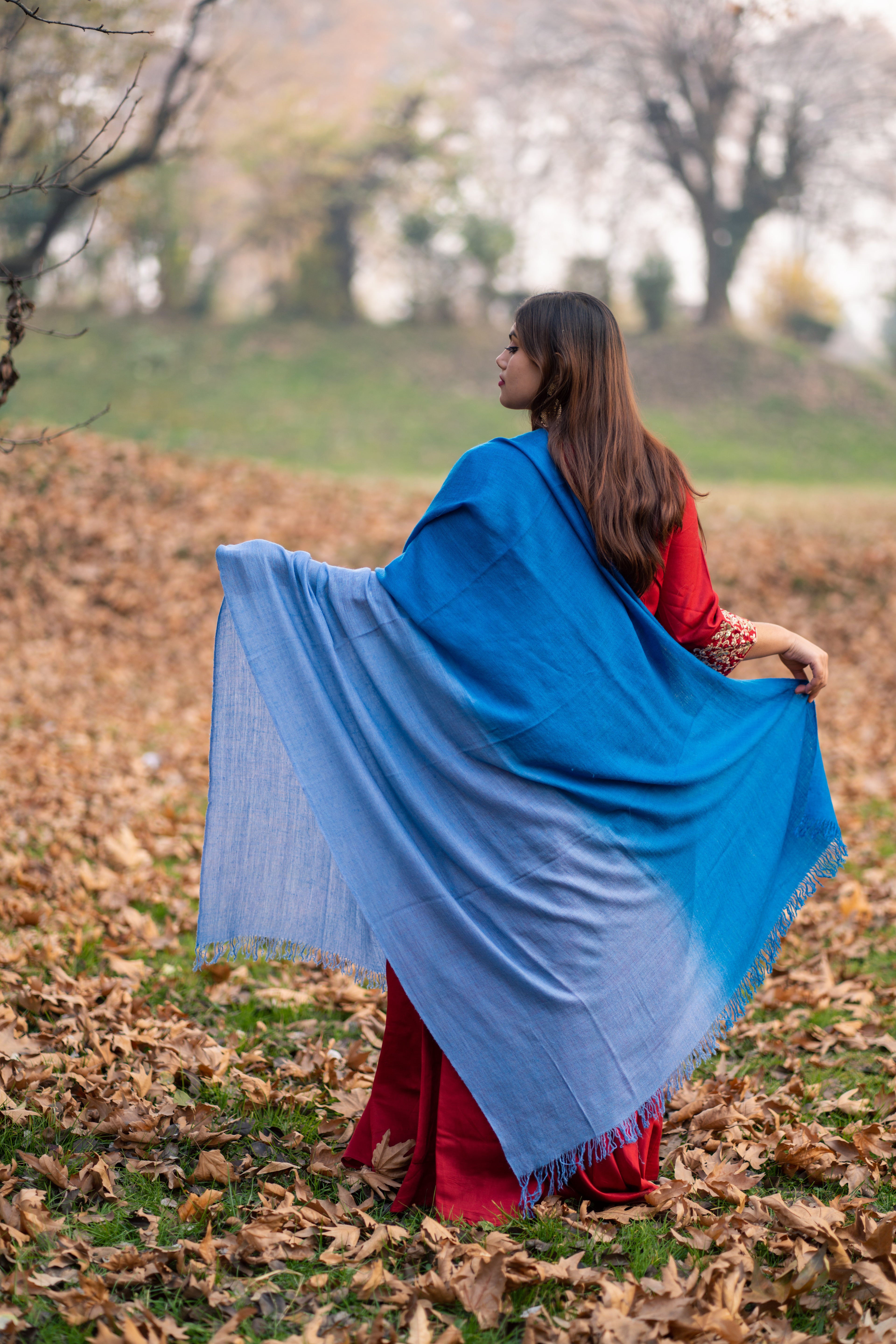 Blue Ombre Handspun Pashmina Shawl