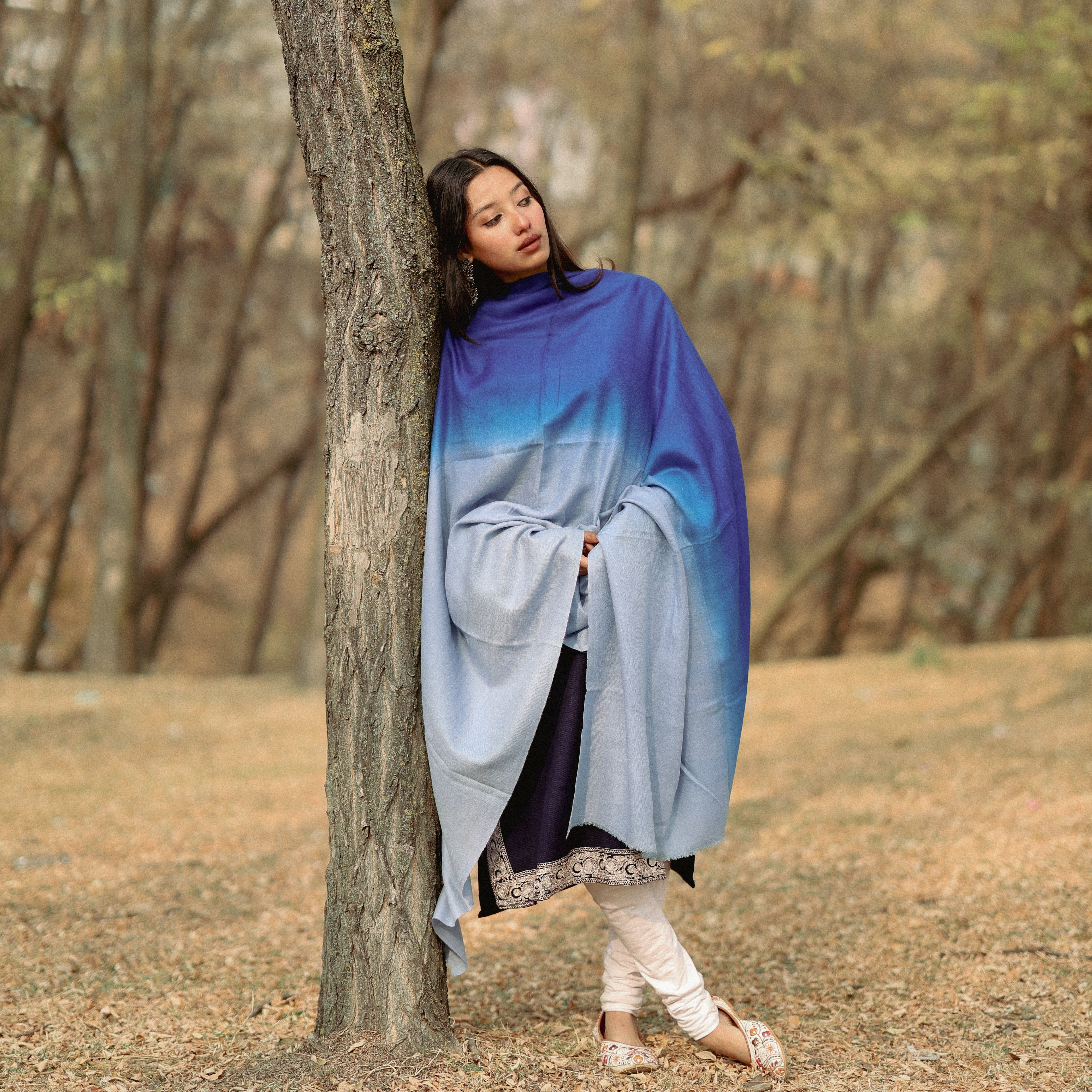 Blue Ombre Pashmina Shawl