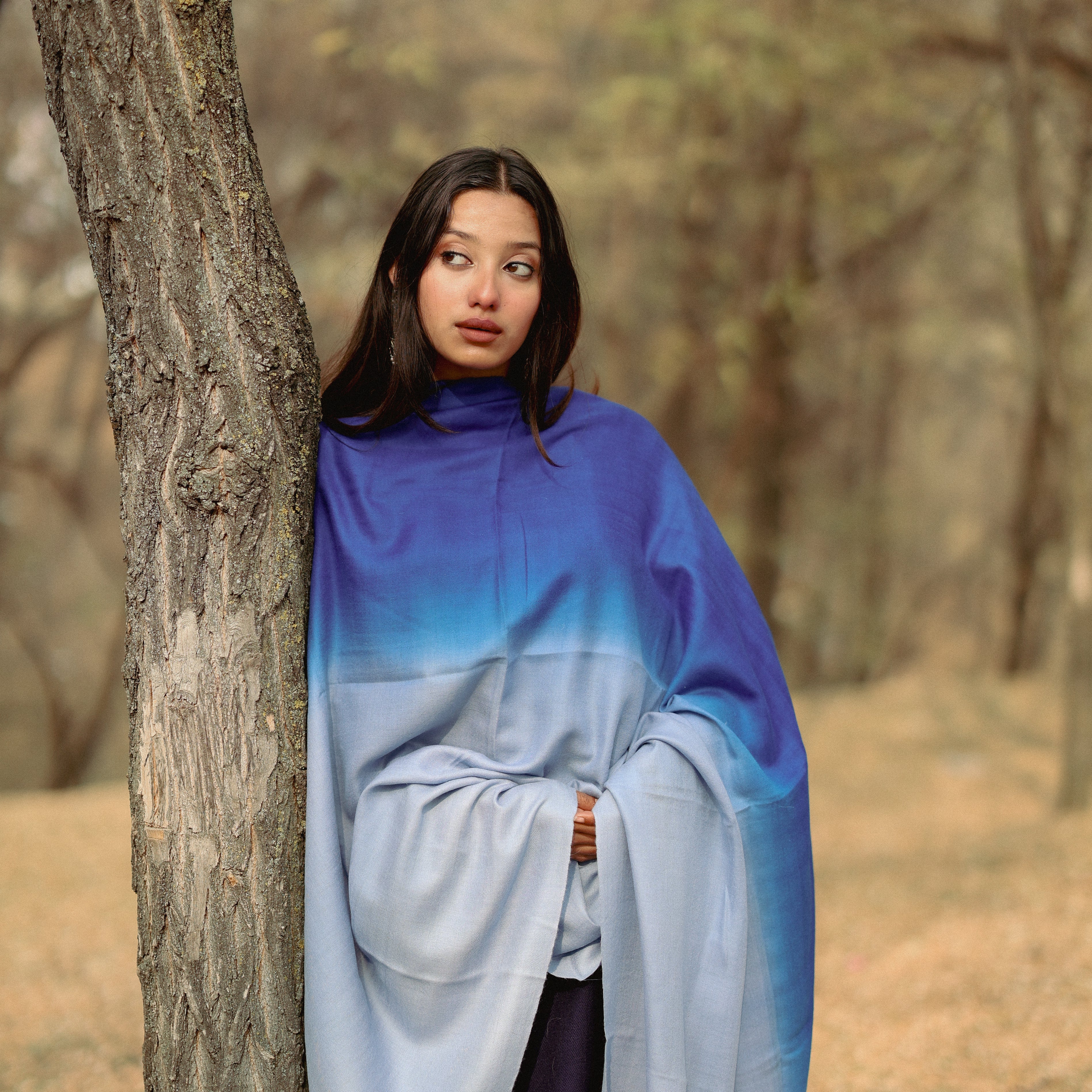 Blue Ombre Pashmina Shawl