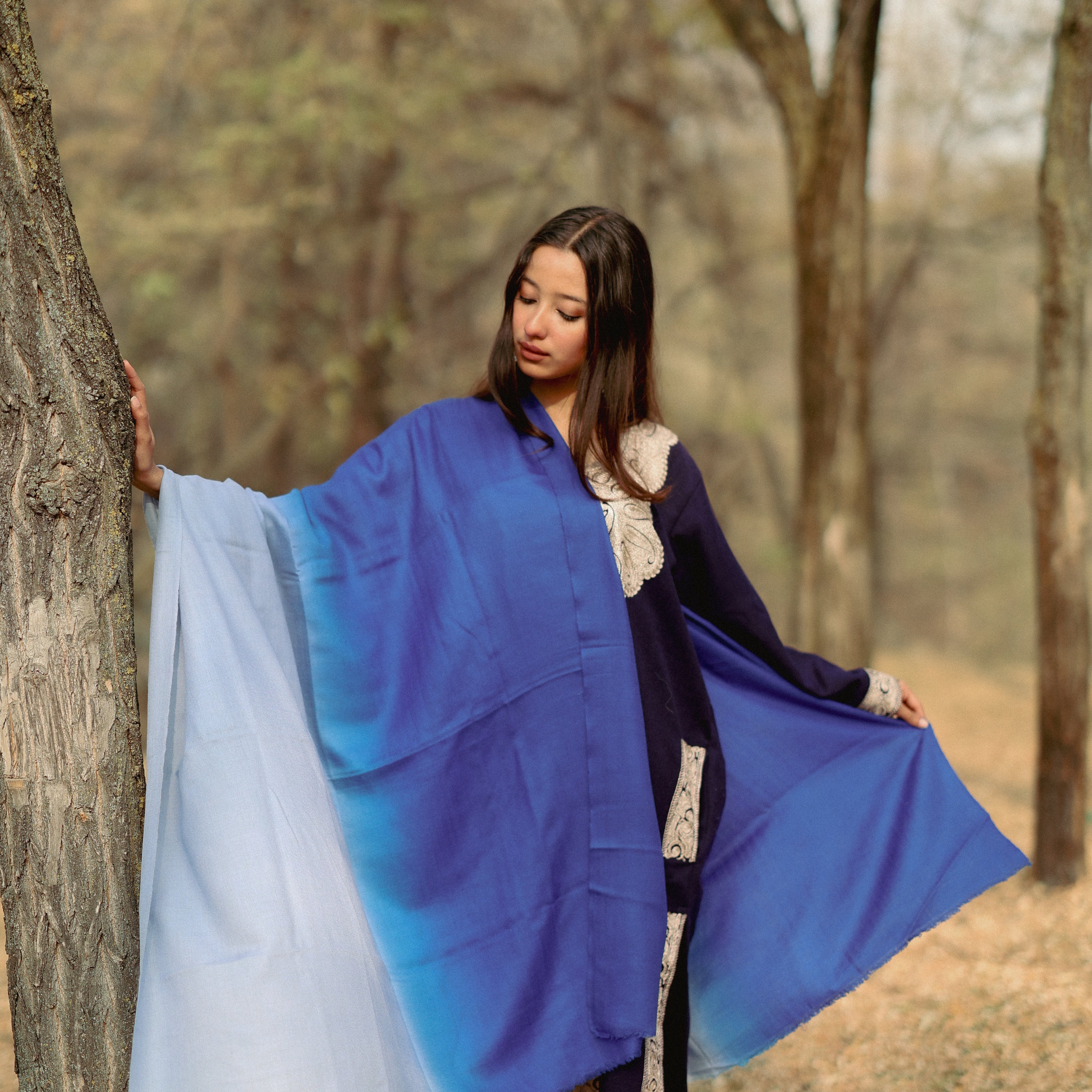 Blue Ombre Pashmina Shawl