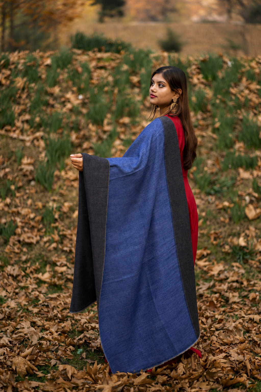 Blue & Navy Reversible Pashmina Shawl